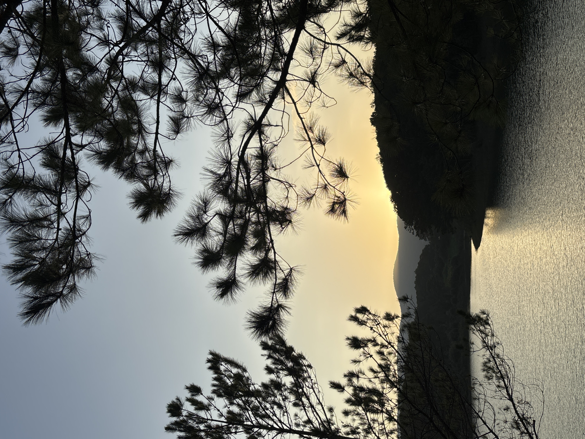 A serene sunset scene unfolds over a tranquil lake in Da Lat, Vietnam. Silhouetted pine branches, characteristic of the region, frame the view from the foreground, their needles sharp against the softening sky. The water's surface reflects the warm, golden hues of the setting sun, creating shimmering patterns. In the distance, rolling hills and mountains are cloaked in shadow, their contours softened by the twilight. The sky transitions from a pale blue at the top to a soft yellow and orange gradient near the horizon, indicating the sun has just dipped below the peaks. There are no people or animals visible in this peaceful natural landscape.