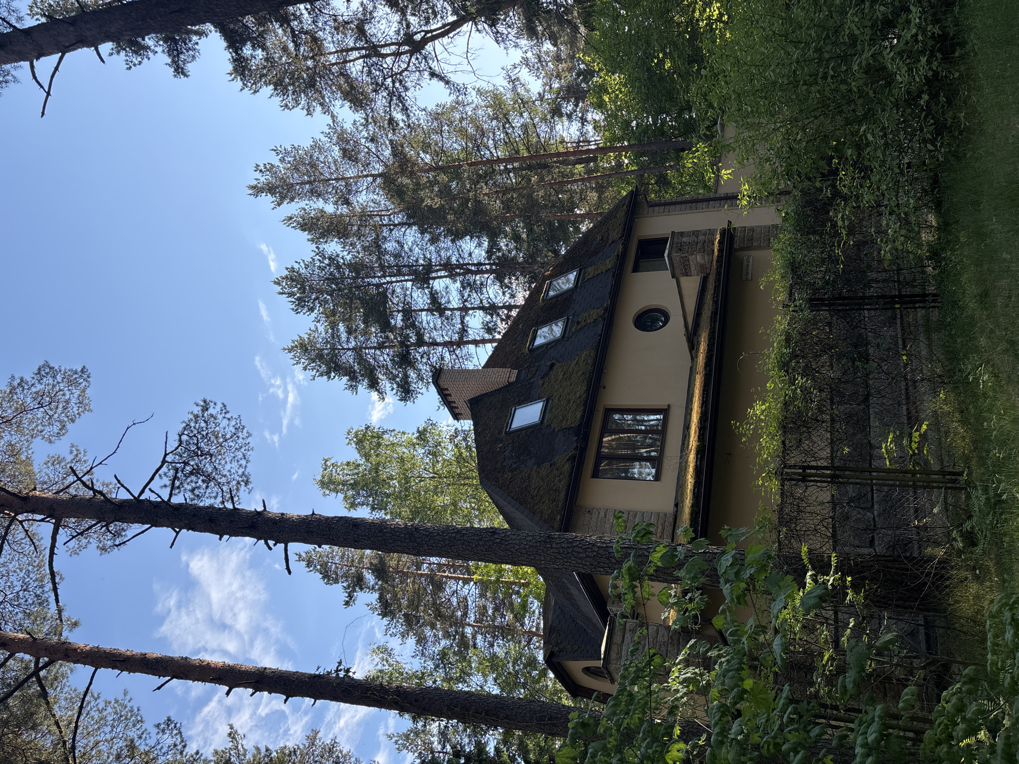The image, correctly oriented, displays a two-story house nestled within a dense pine forest under a clear blue sky with scattered wispy white clouds. The house features light-colored, possibly beige or yellow, walls with stone accents on the lower sections. Its prominent gabled roof is dark, appears to be covered in moss, and includes several dormer windows (skylights). A distinct round window is visible on the upper floor, alongside other rectangular windows and a chimney.
Tall, slender pine trees dominate the scene, surrounding the house and creating a secluded atmosphere. Their dark green needles contrast with the bright sky. Dense green bushes and leafy trees are also visible, particularly in the foreground and near a dark, possibly metal or stone, fence that partially encloses the property. Bright sunlight indicates a daytime setting, likely mid-morning or early afternoon. No individuals or specific activities are present, lending a peaceful and tranquil air to the scene.
A notable detail is a visible street sign on the wall of the house or an adjacent structure, which reads "УЛ. ИМ. РЫЛОВА" (Ulitsa im. Rylova), translating to "Rylov Street." This specific street name, combined with the characteristic pine forest and dacha-like architecture, places the setting in Komarovo, Russia. The overall impression is of a quiet, established residence harmoniously integrated into its natural, wooded environment.