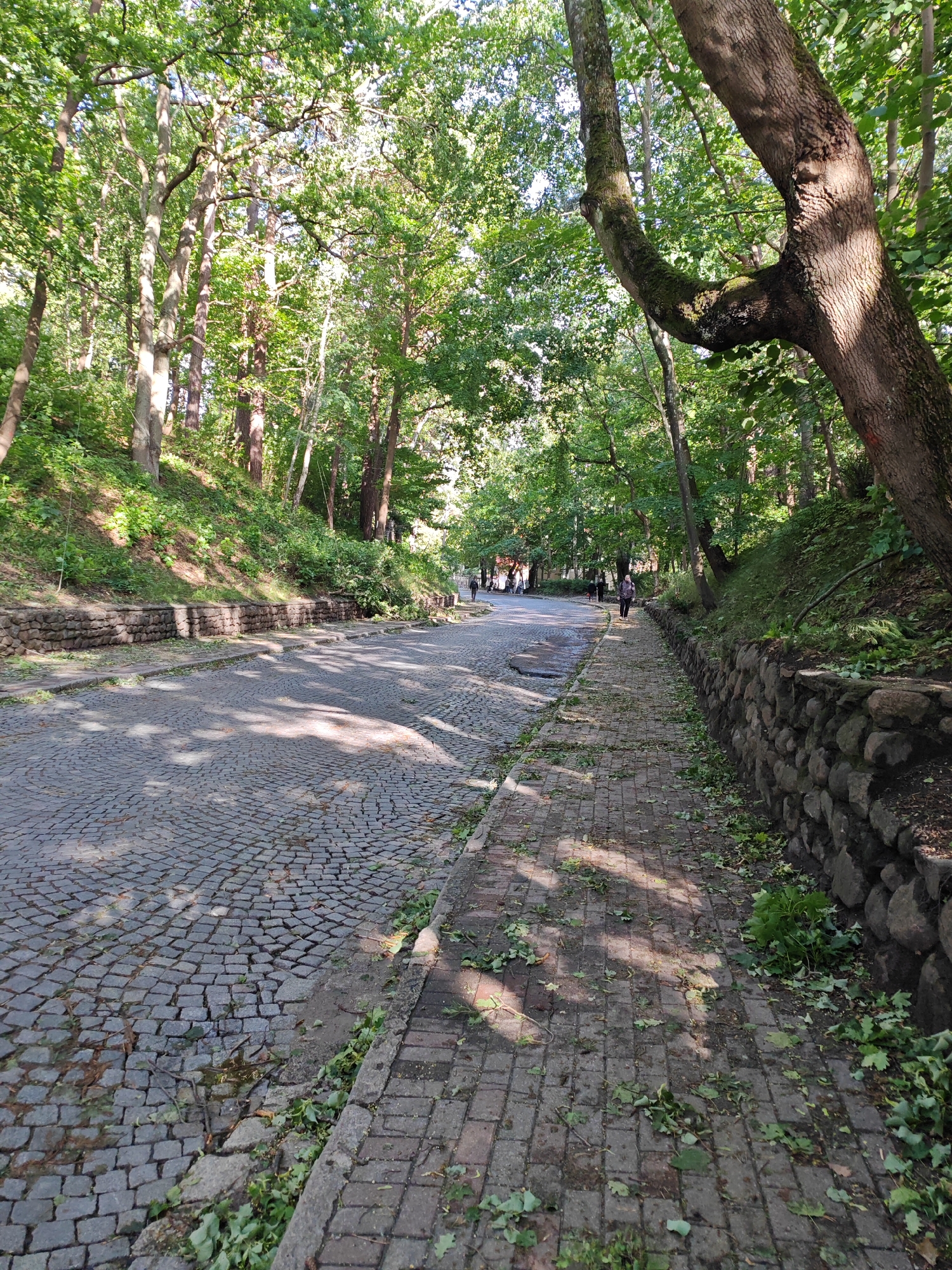 The image depicts a paved pathway and a cobblestone road in a wooded area. The pathway, made of rectangular bricks, is to the right and is covered with fallen leaves and branches. A stone wall borders the pathway. The cobblestone road is to the left and is also littered with leaves. Trees with green foliage line both sides of the road and pathway, casting shadows on the ground. In the distance, several individuals are visible walking along the road and pathway. The scene suggests a park or a scenic route within a city. Based on the provided information, this location is identified as the Zolotaya Liniya (Golden Line) in Svetlogorsk, Russia.