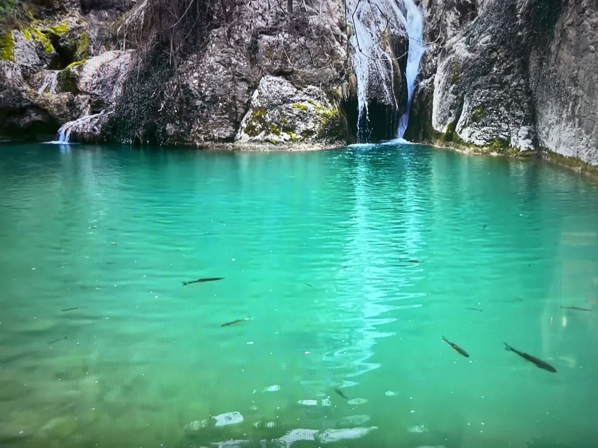 The image shows a clear, turquoise-colored pool of water at the base of a waterfall. The waterfall itself appears to be relatively small, cascading down a rocky cliff face covered with moss and vegetation. The surrounding environment consists of a rocky landscape with bare trees and limited foliage, suggesting a possible autumn or winter setting. Several fish are visible swimming in the pool. The location is unknown and cannot be identified as Basingstoke and Deane in the United Kingdom from the image provided.