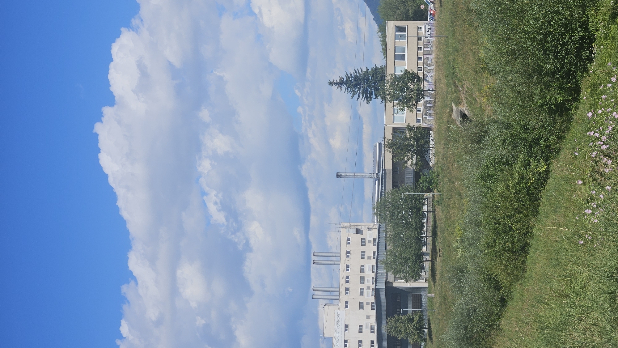 In the city of Prešov, Slovakia, a large, multi-story industrial or commercial building complex stands under a bright blue sky with scattered white clouds. The building on the left is taller, with several vertical cylindrical structures protruding from its roof, possibly chimneys or ventilation shafts. It features a repetitive pattern of windows and a sign that reads "SPRAVBYTKOMFORT." Adjacent to it, a lower, lighter-colored building with numerous windows runs horizontally. A tall evergreen tree stands to the right of this structure, and behind it, a section of a hillside is visible. The foreground is dominated by a grassy slope with dense green vegetation and a few small pink flowers. A concrete drainage or culvert structure is partially visible within the vegetation on the slope. The scene appears to be a view from across a natural area looking towards an industrial or commercial zone.