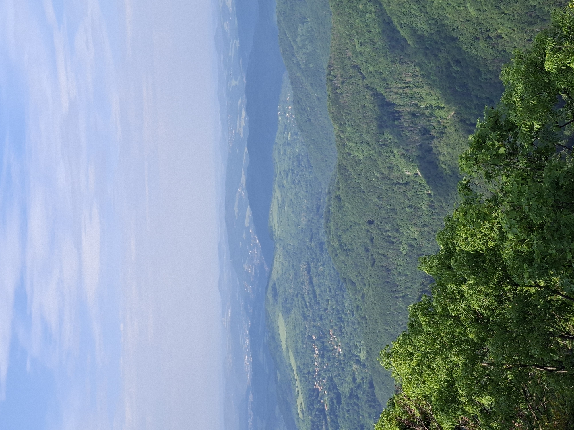 The image displays a panoramic landscape of heavily forested mountains and valleys, consistent with the terrain surrounding Gabrovo, Bulgaria, observed from an elevated perspective. The upper portion of the frame features a pale blue sky dotted with scattered, wispy white clouds. Atmospheric haze progressively blurs the distant horizon, lending a blue tint to the furthest landforms.
In the immediate foreground, the tops of bright green, leafy deciduous trees are visible, obscuring the ground directly beneath the viewpoint. The midground consists of multiple layers of rolling hills, densely covered with varied green forestation. Within these forested valleys and slopes, several small clusters of buildings with red-brown roofs are identifiable, representing rural settlements.
Further into the background, the landscape recedes into increasingly faint, hazy blue mountain ranges and distant valleys. Larger, more developed towns or cities are faintly discernible on the far plains. The scene is illuminated by natural daylight, casting subtle shadows that define the contours of the terrain. No individuals or specific actions are present in the image.