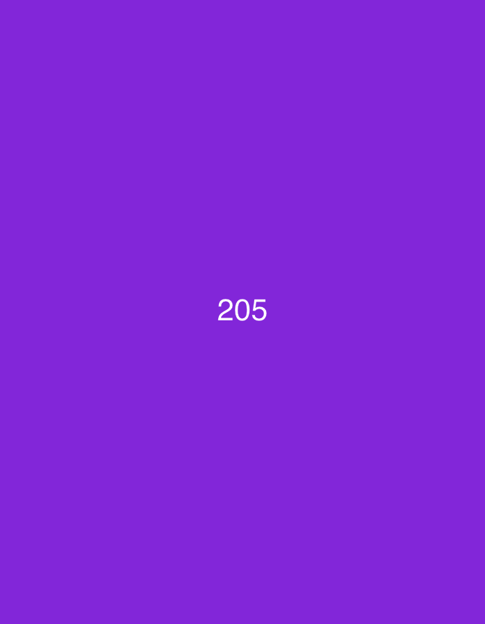 The image is a plain purple background with the number "205" displayed in white text in the center. There are no other objects, people, or environmental details visible in the image. The location in the city of Đà Nẵng, Vietnam, is not identifiable from the provided image.