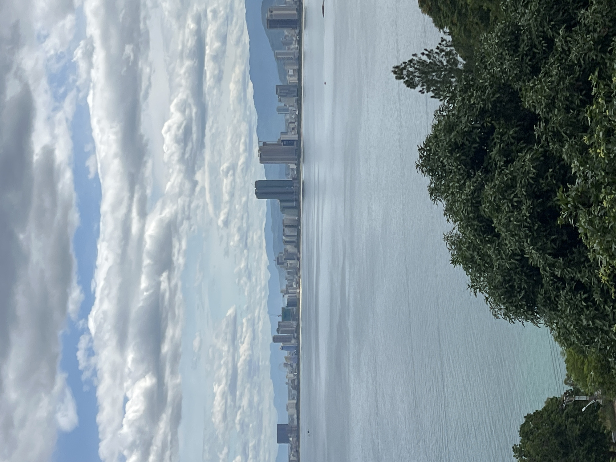 The image captures a panoramic view of the coastline of Đà Nẵng, Vietnam. In the foreground, dense green foliage, likely trees, dominates the bottom of the frame, obscuring a portion of the view. Beyond the trees, a vast expanse of calm, blue-grey water stretches towards the horizon. A city skyline, characterized by numerous tall buildings and skyscrapers, is visible in the mid-ground, lining the coast. Mountains form a hazy backdrop to the city. The sky above is filled with a mix of white and grey clouds against a pale blue sky. The overall scene depicts a typical day with good visibility of the urban coastal landscape.