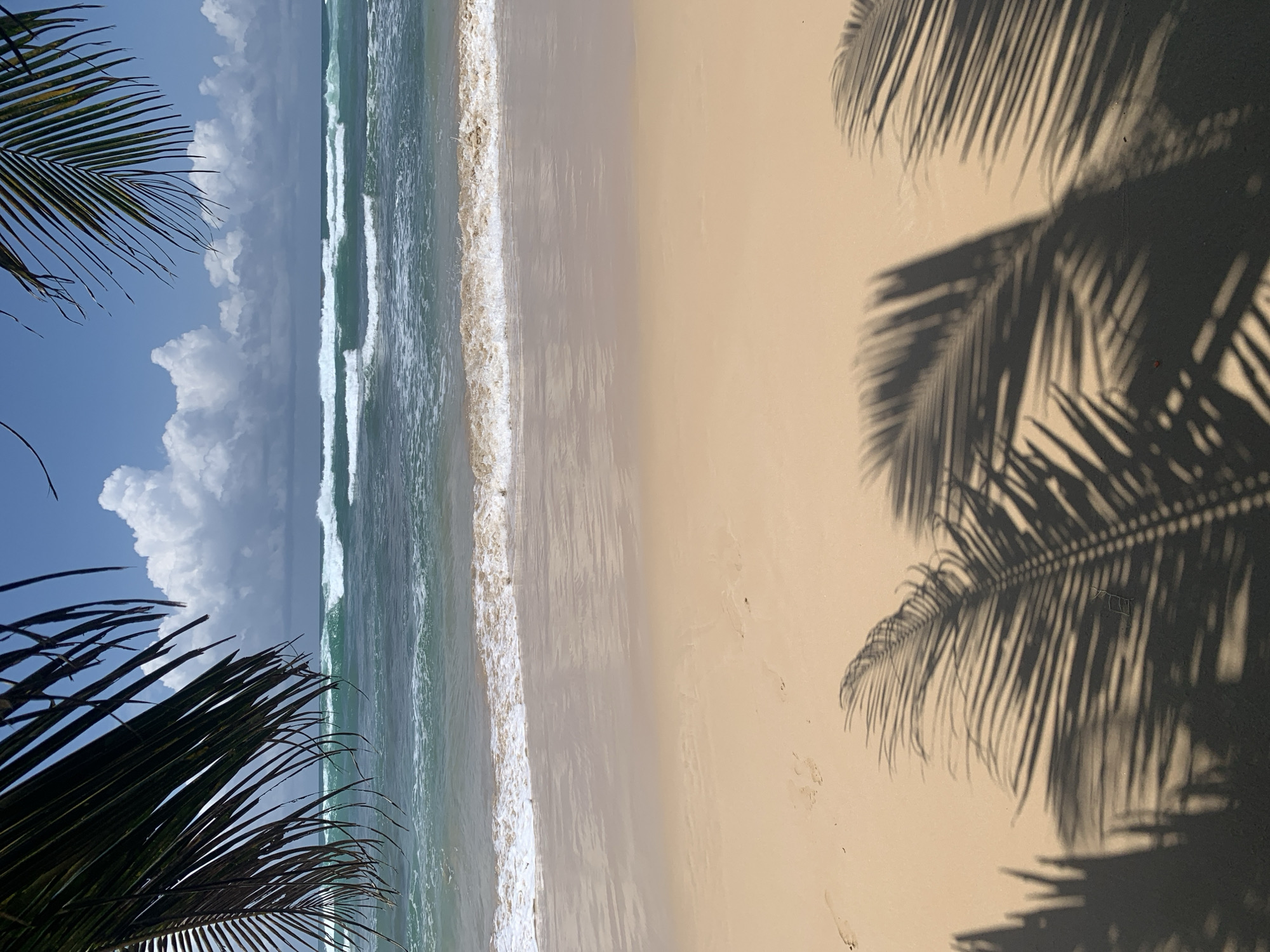 An eye-level, vertical, medium shot captures a serene beach scene in Kabalana, Sri Lanka. The foreground is dominated by a sandy beach with prominent shadows of palm fronds cast across it, indicating a sunny day. Two sets of faint footprints are visible in the sand. In the mid-ground, the ocean presents rolling waves with white crests, appearing turquoise in color. The horizon is marked by a clear blue sky dotted with fluffy white clouds. Partially visible palm fronds frame the top left and top right corners of the image, adding to the tropical ambiance. The overall atmosphere is tranquil and idyllic, typical of a beach resort.