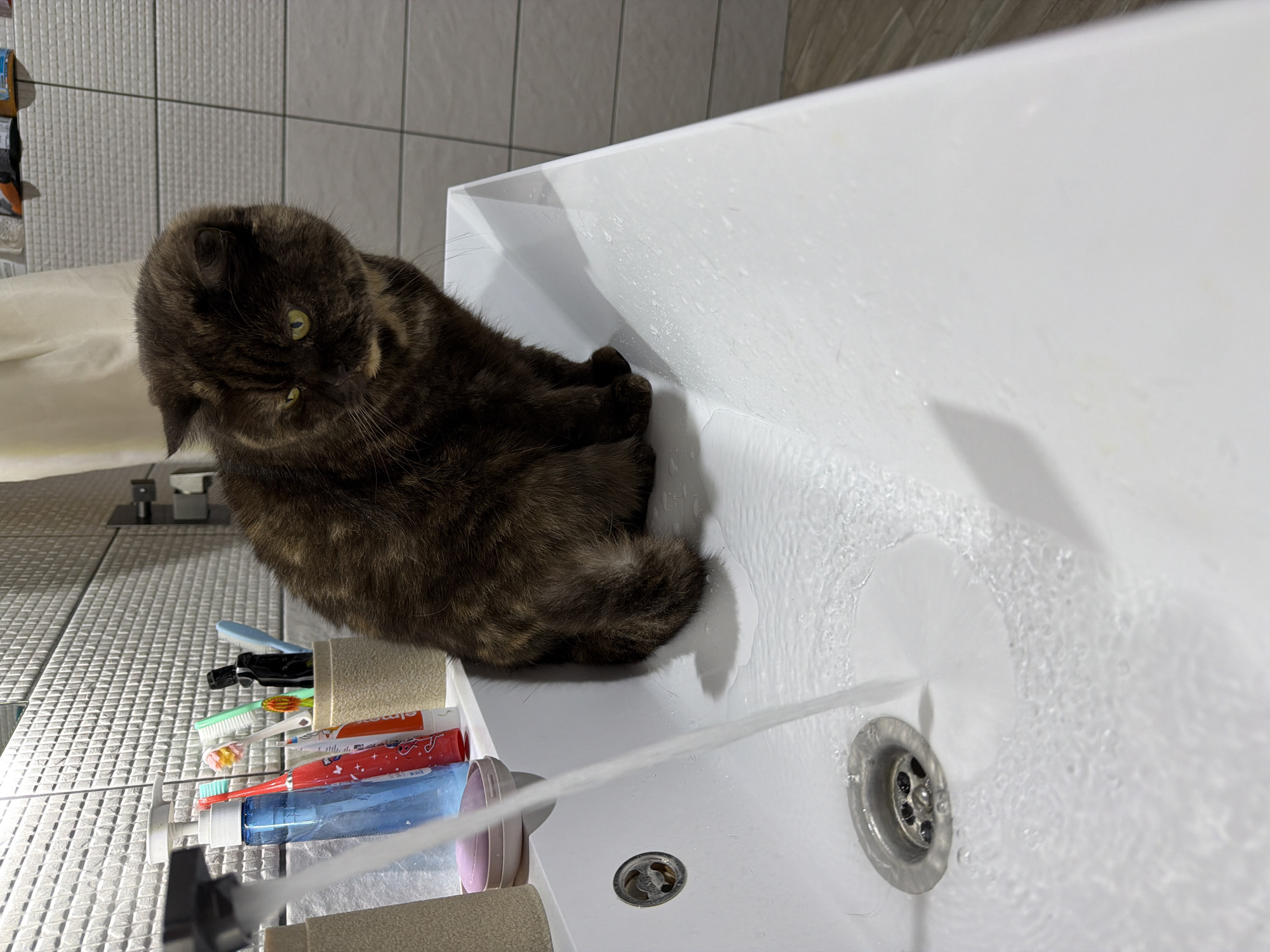 A tortoiseshell cat sits in a white bathroom sink, looking to its right, away from a stream of running water. The sink is wet, with water splashing around the drain. In the background, a toothbrush holder with several toothbrushes and a tube of toothpaste are visible on the counter behind the sink. The tiles on the wall are textured and light-colored. The scene appears to be in a residential bathroom in Chaikovsky, Russia, likely a home bathroom given the presence of personal hygiene items. There are no people visible in the image.