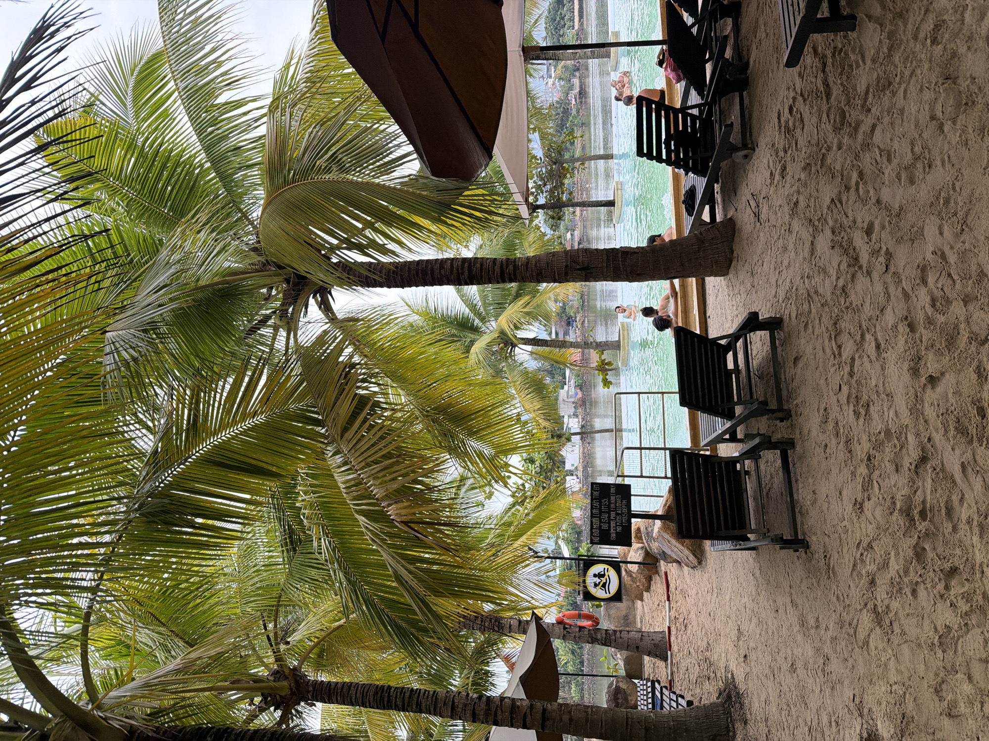 The image depicts a resort swimming pool area situated on a sandy beach, likely in Nha Trang, Vietnam. The foreground is dominated by coarse, light-brown sand, with several dark-colored lounge chairs scattered across it. Palm trees with lush green fronds are prominently featured throughout the scene, casting shadows on the sand and framing the pool area.
In the middle ground, a large, brightly lit swimming pool with turquoise water is visible. Several people are in the pool, some socializing and others relaxing. The pool area is surrounded by a low concrete barrier and a metal fence. On the sandy shore next to the pool, there are more lounge chairs and a large brown umbrella providing shade. A life preserver ring is hanging on a tree trunk.
A sign with both Vietnamese and English text is placed on a post near the pool. The English text reads: "SWIMMING POOL FOR ADULT ONLY. NO KIDS ALLOWED. 1.75M DEPTH." This indicates that the pool is intended for adult use and has a significant depth.
In the background, a body of water, possibly a river or the sea, is visible, with a distant shoreline featuring buildings and lush vegetation. The sky is overcast with a hazy, light gray appearance. The overall atmosphere suggests a tropical resort environment.