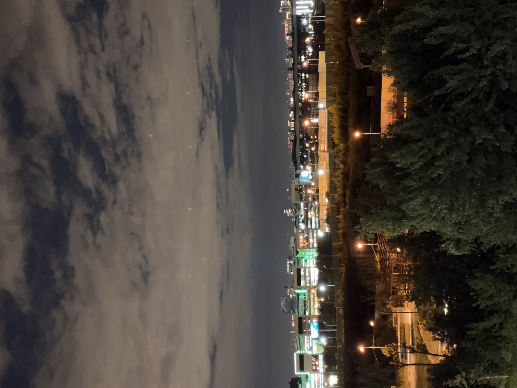 The image captures a nighttime urban landscape in Odintsovo, Russia, likely from an elevated vantage point. In the foreground, the dark silhouettes of dense trees dominate, their leaves illuminated by ambient light. Beyond the trees, a row of streetlights stands out, their orange glow piercing the darkness.
Further into the midground, a structured wooden gazebo or shelter is visible, its form partially obscured by the surrounding foliage. Behind this, a strip of low vegetation and trees stretches horizontally. A fence or barrier runs along the edge of this vegetation.
The background reveals a sprawling cityscape illuminated by numerous lights. Several large, modern buildings are prominent, some featuring vibrant green and blue lighting, suggesting commercial or entertainment venues. Other structures are a mix of offices and residential buildings, their windows glowing warmly. A distant skyline with a cluster of brighter lights indicates a more densely populated area. The sky above is filled with dark, cloudy formations, with subtle hints of light scattered throughout, possibly from distant celestial bodies or artificial light sources. The overall scene depicts a lively, modern urban environment under a cloudy night sky.