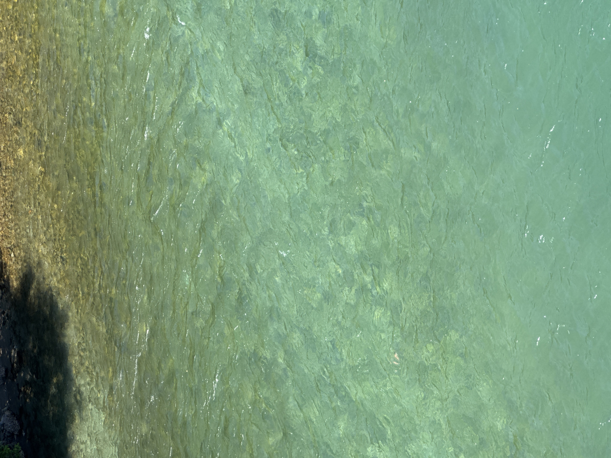 The image depicts a body of water with a light green hue, possibly a river or lake. Along the left edge of the frame, there is a rocky shoreline or riverbank. The water is clear enough to see the texture and patterns of the riverbed beneath the surface. In the lower left corner, there is a dark shadow. The location and city are not identifiable from the image.