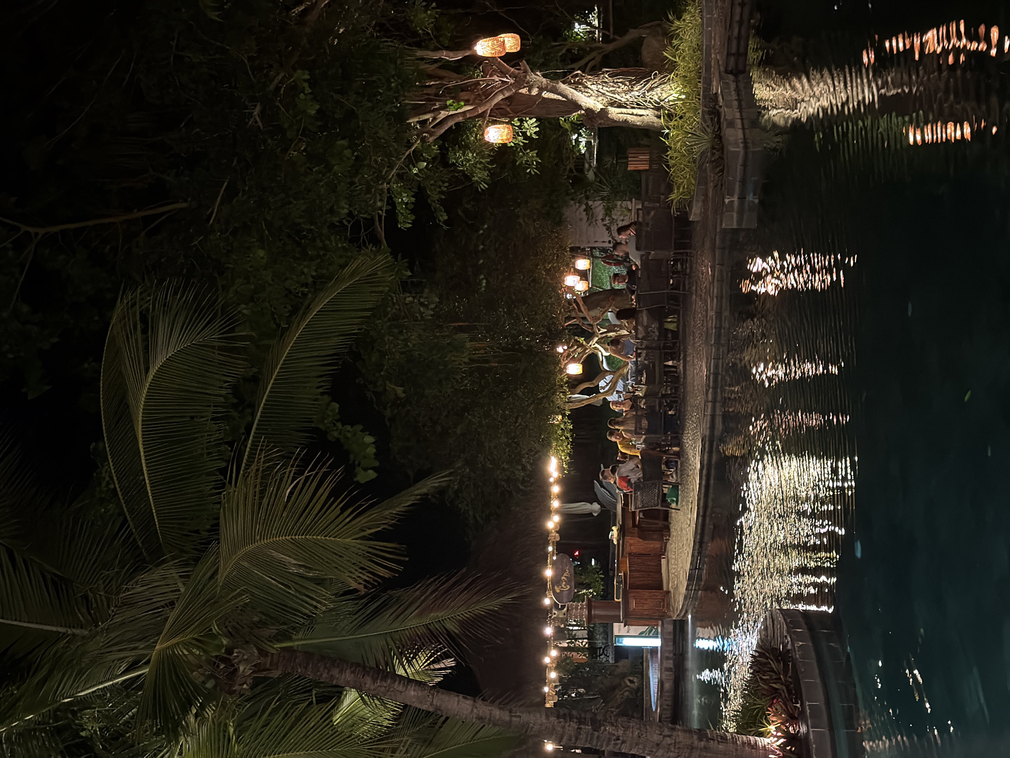 The image depicts an outdoor dining and bar area at night in Nha Trang Ward, Vietnam. A large palm tree with green fronds occupies the left side of the frame. In the mid-ground, a thatched-roof structure functions as a bar, illuminated by a string of warm globe lights across its front. A vertical light pillar emitting a blue glow is positioned near the bar counter. Several dark-toned outdoor tables and chairs are arranged on a paved area around the bar and extend further to the right. Approximately 10-15 individuals are seated at these tables, engaged in dining and conversation. To the right of the bar, mature trees with dense foliage are visible, from which several woven, basket-like lanterns hang, emitting a warm orange light. Some tree trunks are illuminated from below. The foreground and mid-ground feature a dark body of water, likely a pool or pond, which reflects the string lights and ambient illumination in scattered patterns. Low-lying tropical plants are present along the water's edge and within planters in the scene.