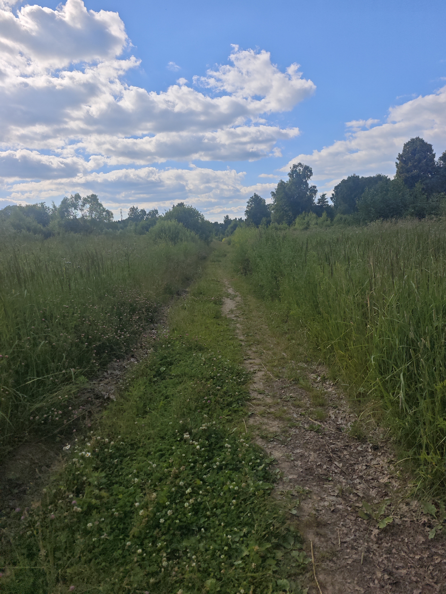 A dirt path winds through a meadow under a bright blue sky with fluffy white clouds. Tall grasses and wild clover with small white and pink flowers line the path on both sides. In the distance, a line of trees forms a natural border against the horizon. The sun appears to be high in the sky, suggesting it is midday. The scene evokes a sense of peacefulness and natural beauty, characteristic of a rural summer day in Хлевино, Russia. There is no visible text in the image.