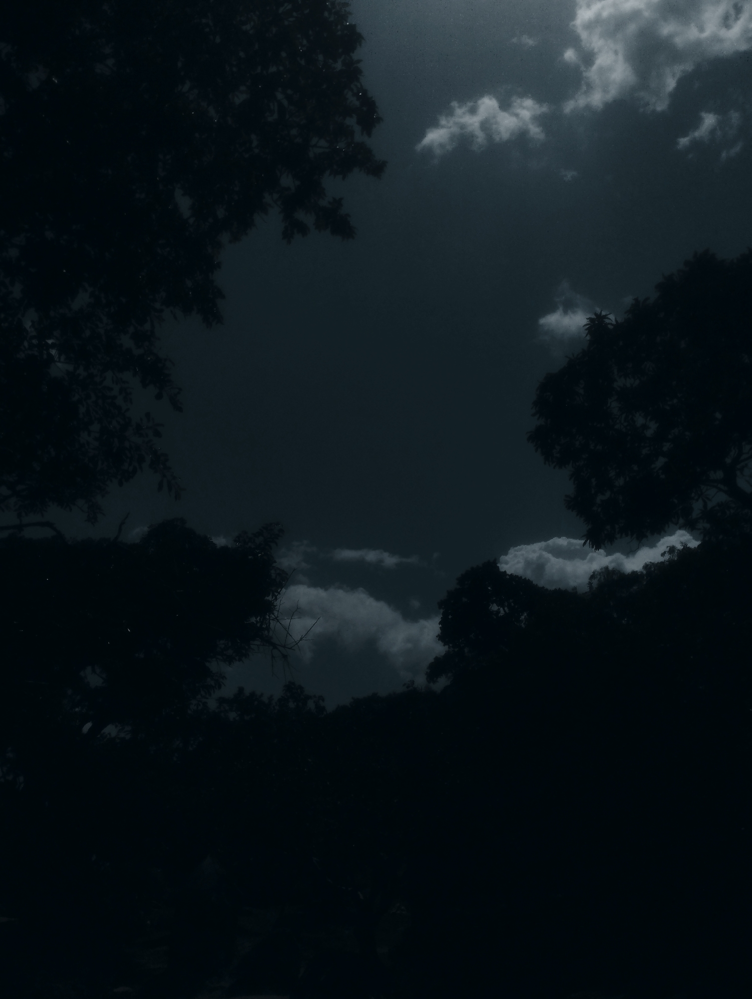 The image is a dark, silhouetted view of tree canopies against a cloudy night sky. The sky is a deep, dark blue, with some lighter patches suggesting clouds illuminated by an unseen light source. The trees, rendered as black silhouettes, frame the sky from the left, top, and right edges of the image. Their branches and leaves are indistinct, creating a sense of depth and darkness. The overall impression is one of a serene, nocturnal landscape. The location in Jos, Nigeria, is not visually discernible from the image itself.