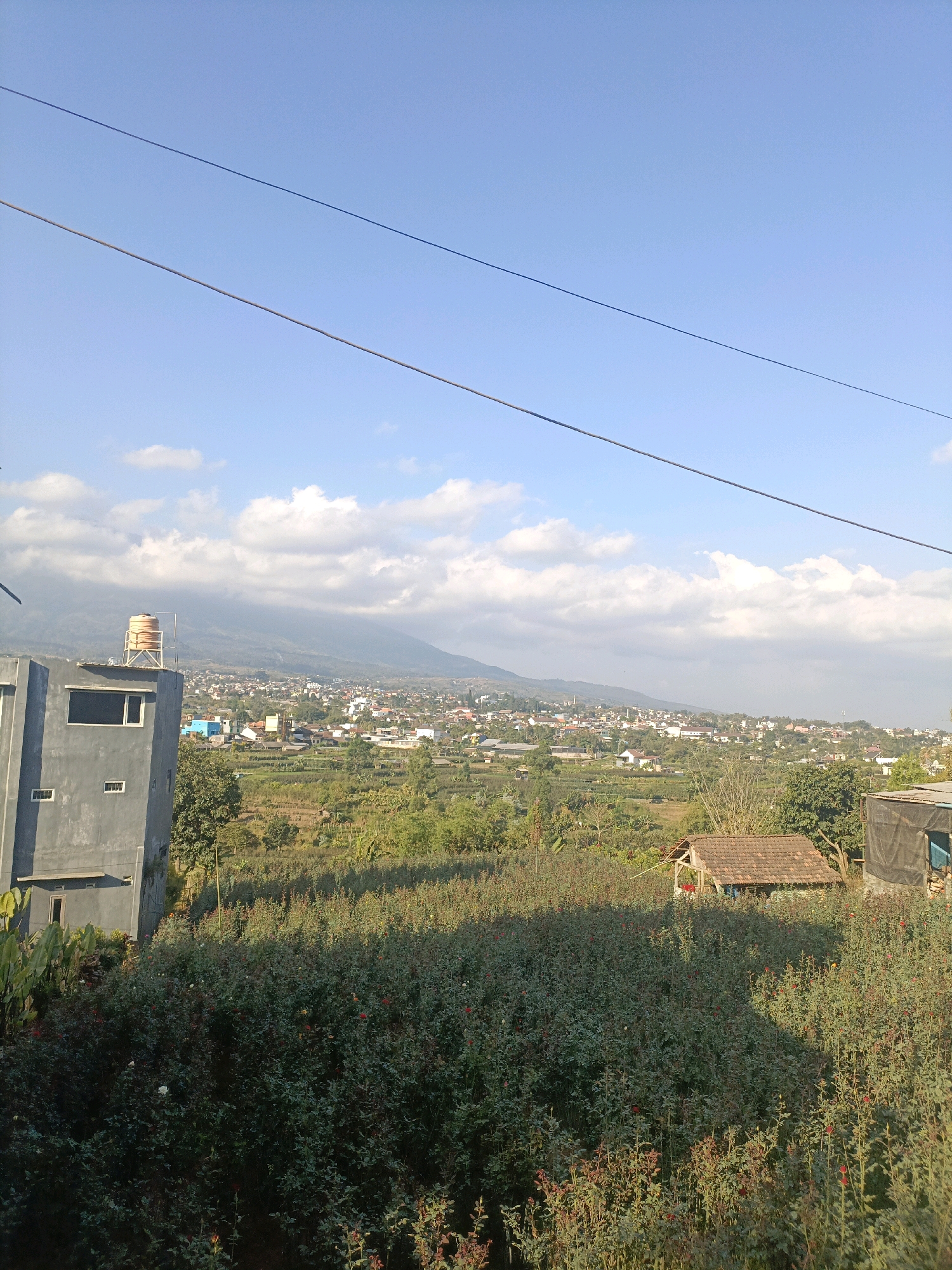 The image depicts a rural landscape scene, likely in the city of Batu, Indonesia, given the characteristic hilly terrain and vegetation. In the foreground, a dense field of rose bushes, with some red and white blooms visible, stretches across the lower portion of the frame. To the left, a modern, grey, multi-story building with visible windows and a water tank on its roof is prominent. In the mid-ground, a small, traditional-style building with a tiled roof is nestled among trees, and beyond it, a sprawling town or village is visible, characterized by numerous houses and structures. The background is dominated by rolling hills and a mountain range, partially obscured by clouds, under a clear blue sky. Power lines are visible spanning across the upper part of the image. The scene appears to be captured during daylight, with soft lighting suggesting either morning or late afternoon. No people or animals are depicted in the image.