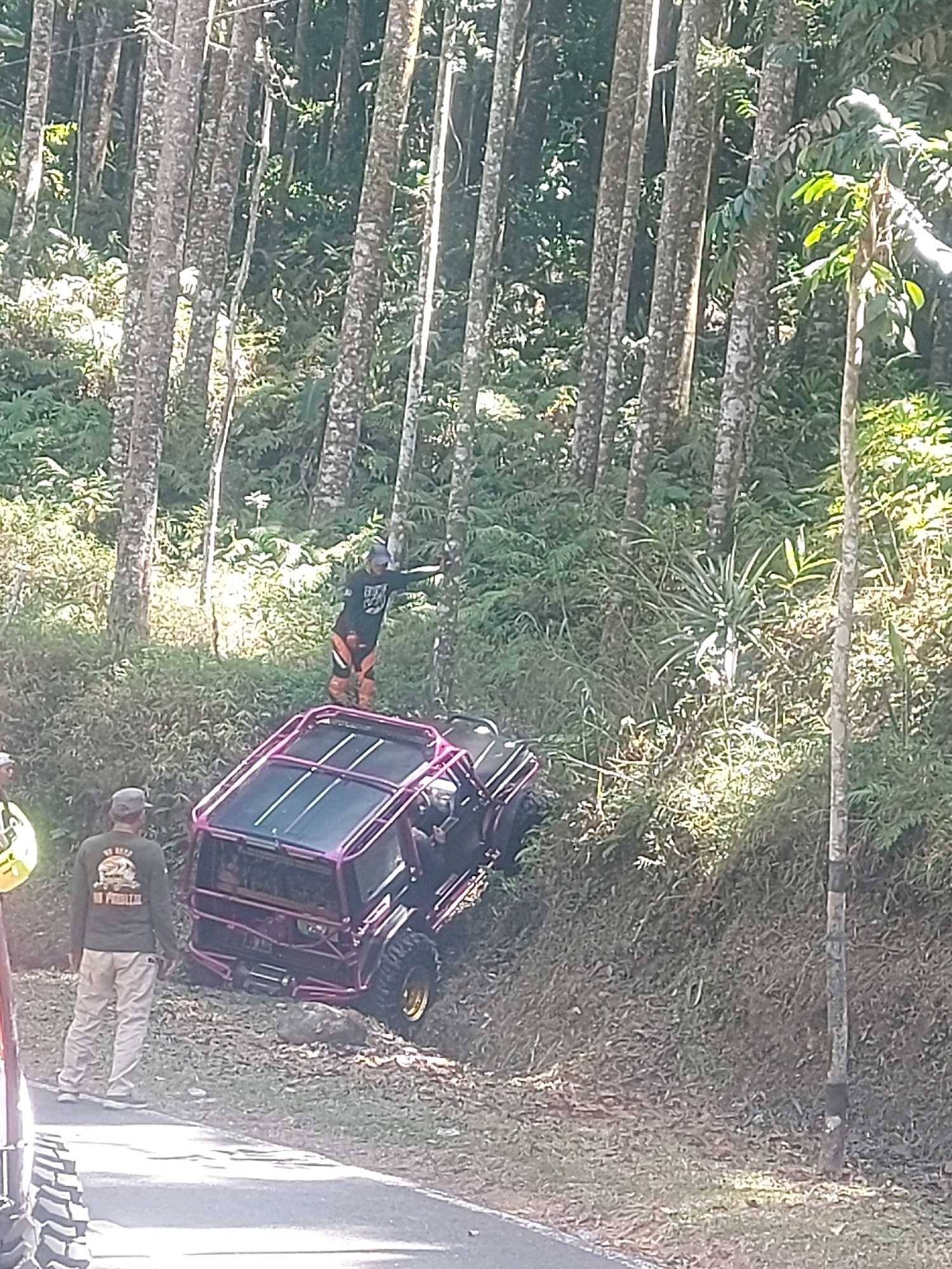 In Jangkrikan, Indonesia, a modified off-road vehicle, a purple Jeep-style SUV with a roll cage and gold-colored rims, is positioned precariously on a steep, grassy embankment next to a paved road. The vehicle appears to have at least partially slid off the road. Three individuals are present: one person in an orange and black outfit is standing on top of the vehicle, reaching out towards the trees; another person wearing a green long-sleeved shirt and a cap is standing on the road, facing the vehicle; and a third person, partially visible on the left, is wearing a yellow garment and appears to be near another vehicle. The environment is densely forested with tall, slender trees and lush green undergrowth, suggesting a rural or natural setting. The sun is casting strong shadows, indicating it is daytime.
