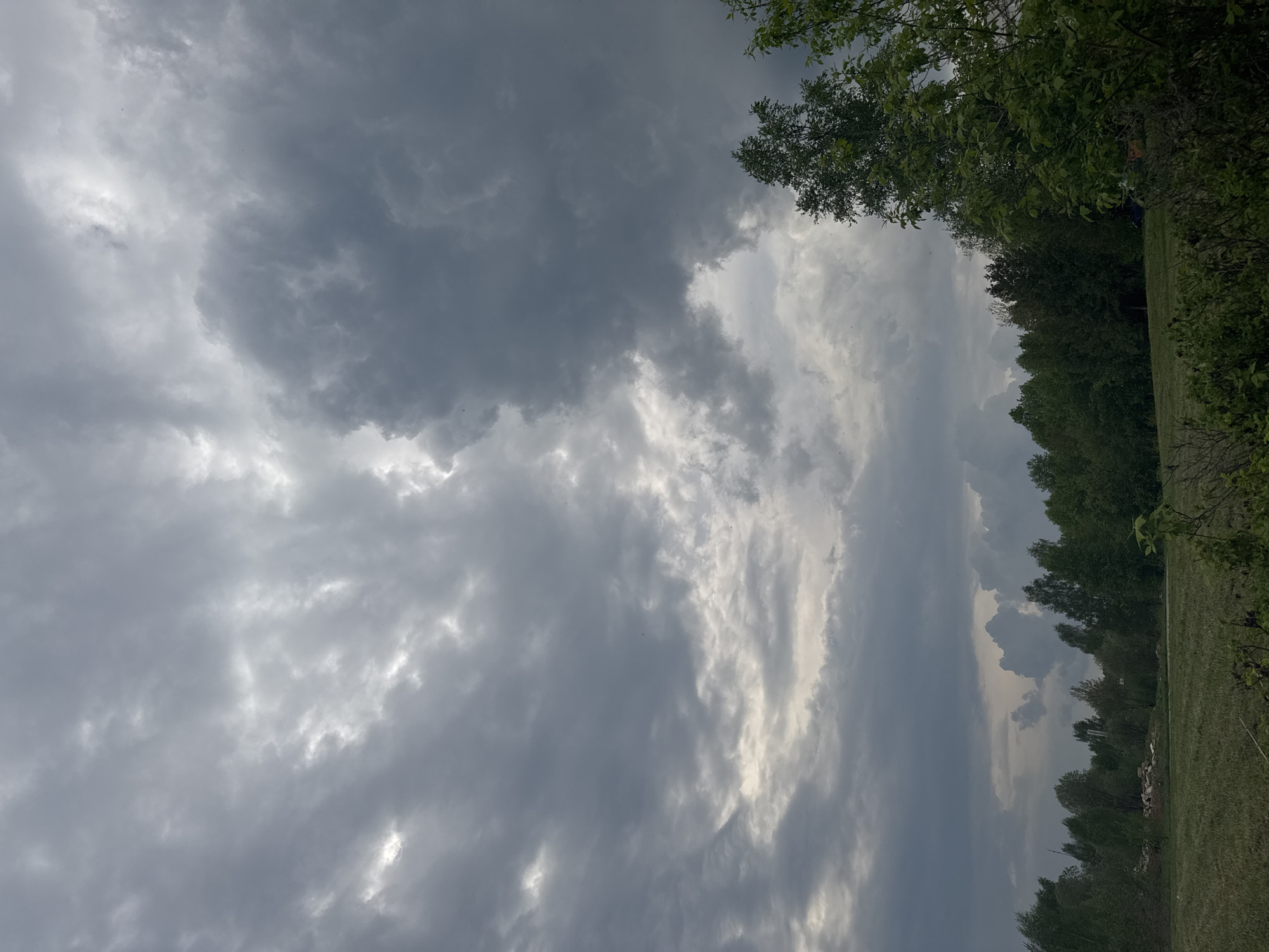 The image shows a cloudy sky over a landscape in Shevlyakovo, Russia. Dark, heavy clouds dominate the left portion of the sky, while lighter, textured clouds are visible towards the center. A line of trees runs along the right edge, with green foliage visible at the top and fading into a darker expanse below. The ground beneath the trees is a mix of grass and vegetation. No people or specific objects are discernible in the image. The overall scene conveys a sense of an overcast day in a natural setting.