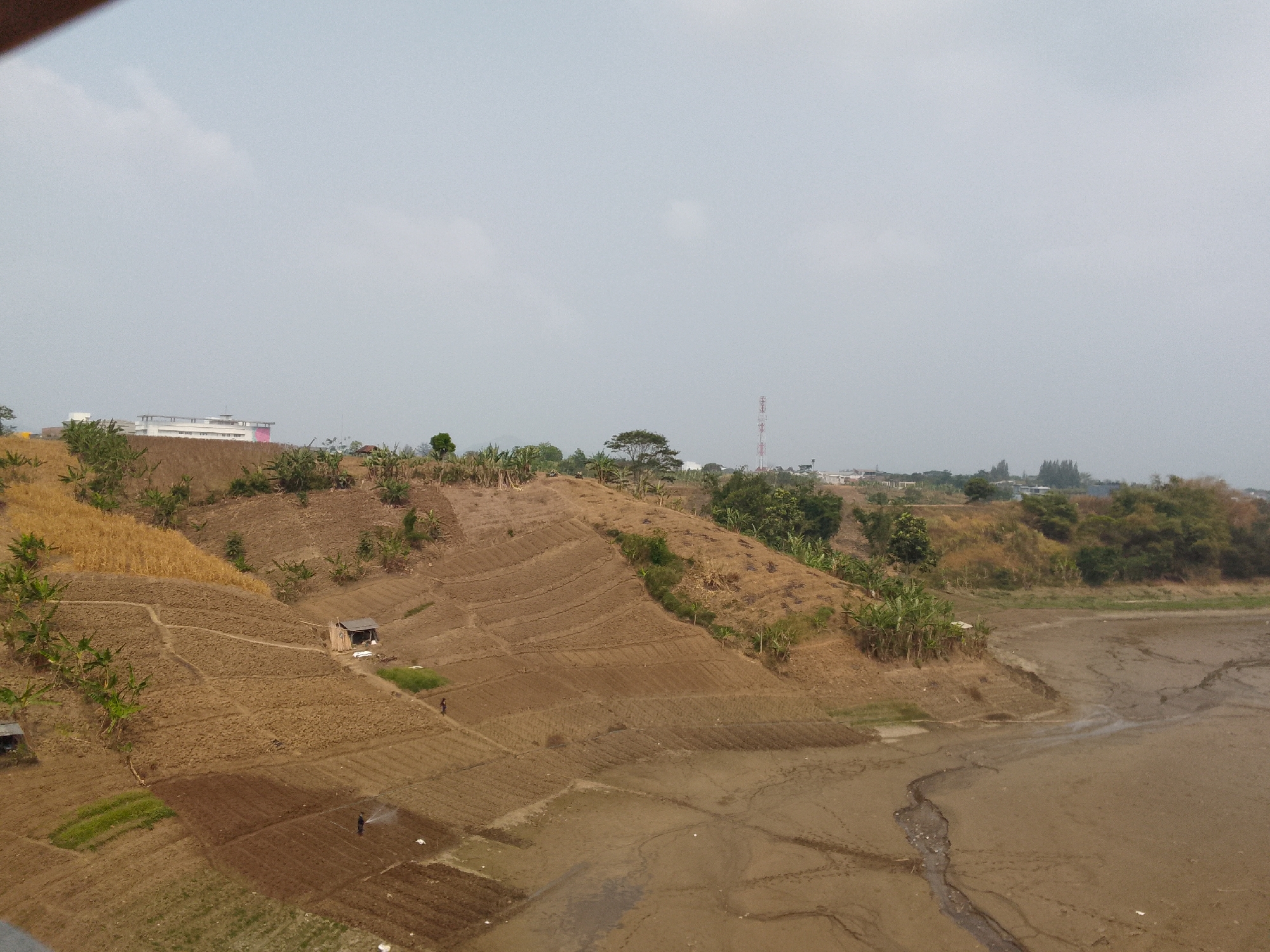 The image shows a terraced hillside with agricultural fields. In the foreground, there are areas of tilled soil, some with young green crops. Two individuals are visible in the fields, one appearing to be watering plants with a hose. A small, dilapidated structure stands on the hillside. Higher up the slope, there are fields of dry crops, possibly corn, and clusters of banana trees. In the background, a wider expanse of dry, cracked earth suggests a riverbed or dried-up pond. Beyond the hillside, buildings and a communication tower are visible on the horizon, indicating a settled area. The sky is overcast. The scene depicts a rural agricultural landscape adjacent to a more developed area.