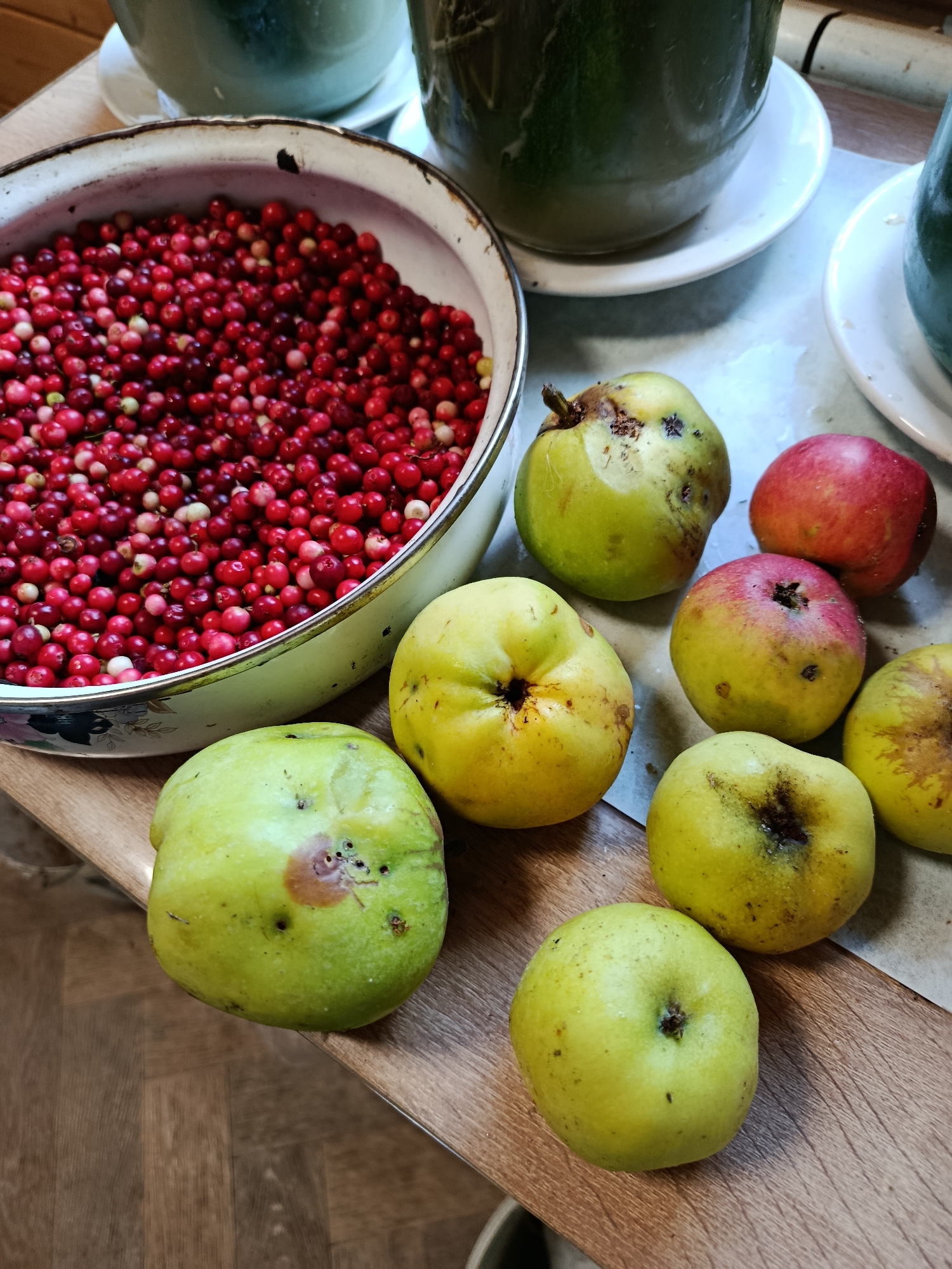 A close-up, overhead shot shows a metal bowl filled with ripe red cranberries. Next to the bowl, scattered on a wooden surface, are several green and red apples. Some of the apples show signs of bruising and blemishes, suggesting they may be foraged or homegrown. In the background, out of focus, are two dark green glass containers resting on white saucers. The overall impression is a rustic still life, possibly depicting ingredients for cooking or preserving. The location is Unknown, Unknown.