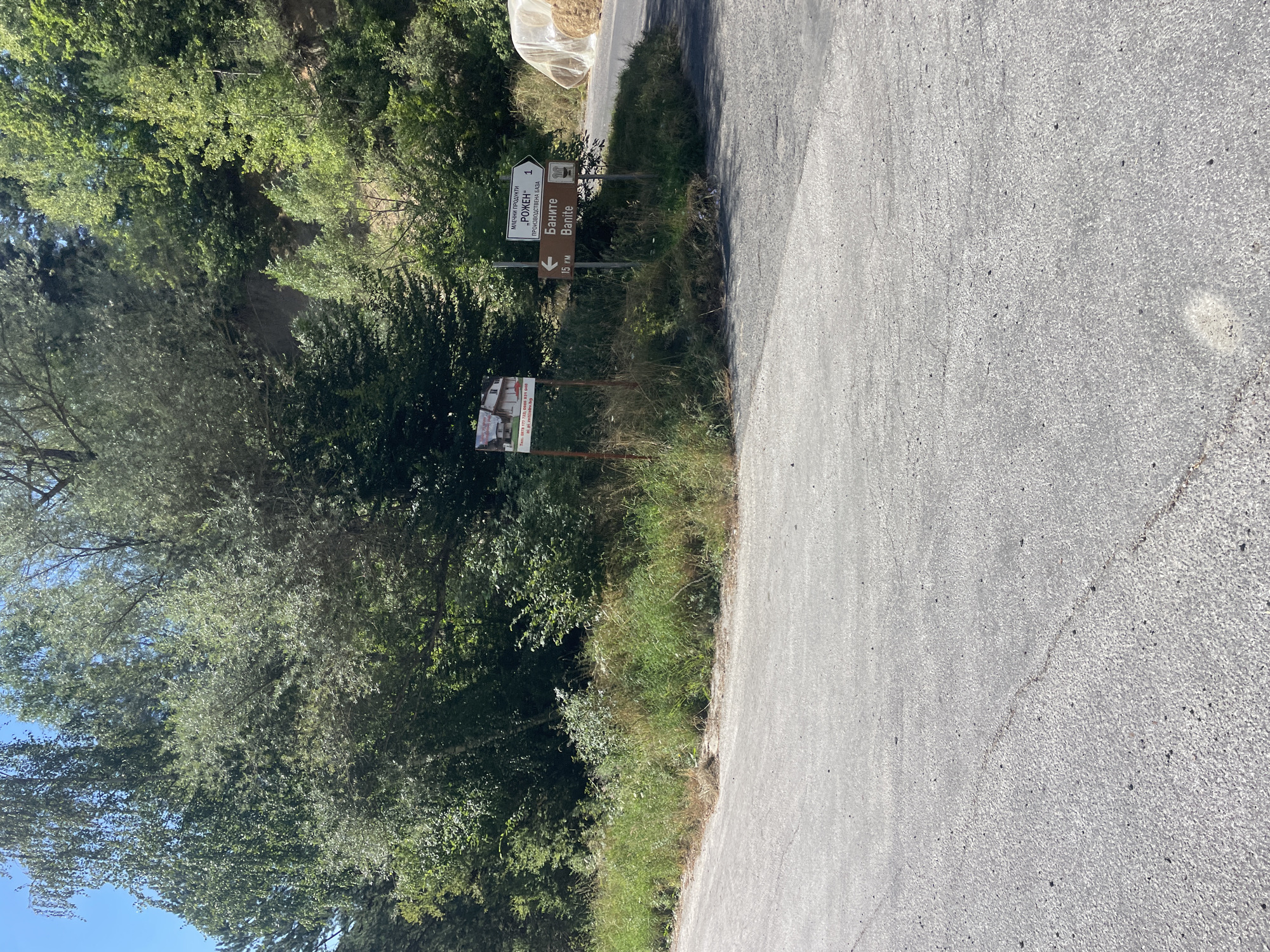 The image depicts a rural road intersection in Davidkovo, Bulgaria, surrounded by dense green foliage and trees. Two signs are prominently displayed at the intersection. The sign on the right is a directional sign with two panels. The top panel indicates "МАЧЕНИ ПРОДУКТИ" (Processed Products) and "-РОЖЕН-" (–Rozhen–) with an arrow pointing to the right and the number "1". The bottom panel indicates "Баните" (Banite) with an arrow pointing to the left and "15 км" (15 km). Below the word "Баните" is a circular emblem with an illustration. To the left of this directional sign is another sign with a picture of a building and text which includes a phone number, likely for tourism or accommodation. The road surface appears to be asphalt and is in fair condition with some cracks. In the background, to the right, several large bales of hay are covered with white plastic sheeting, suggesting agricultural activity. The sky is clear and blue, indicating a sunny day. The scene is static, with no people or animals visible.
