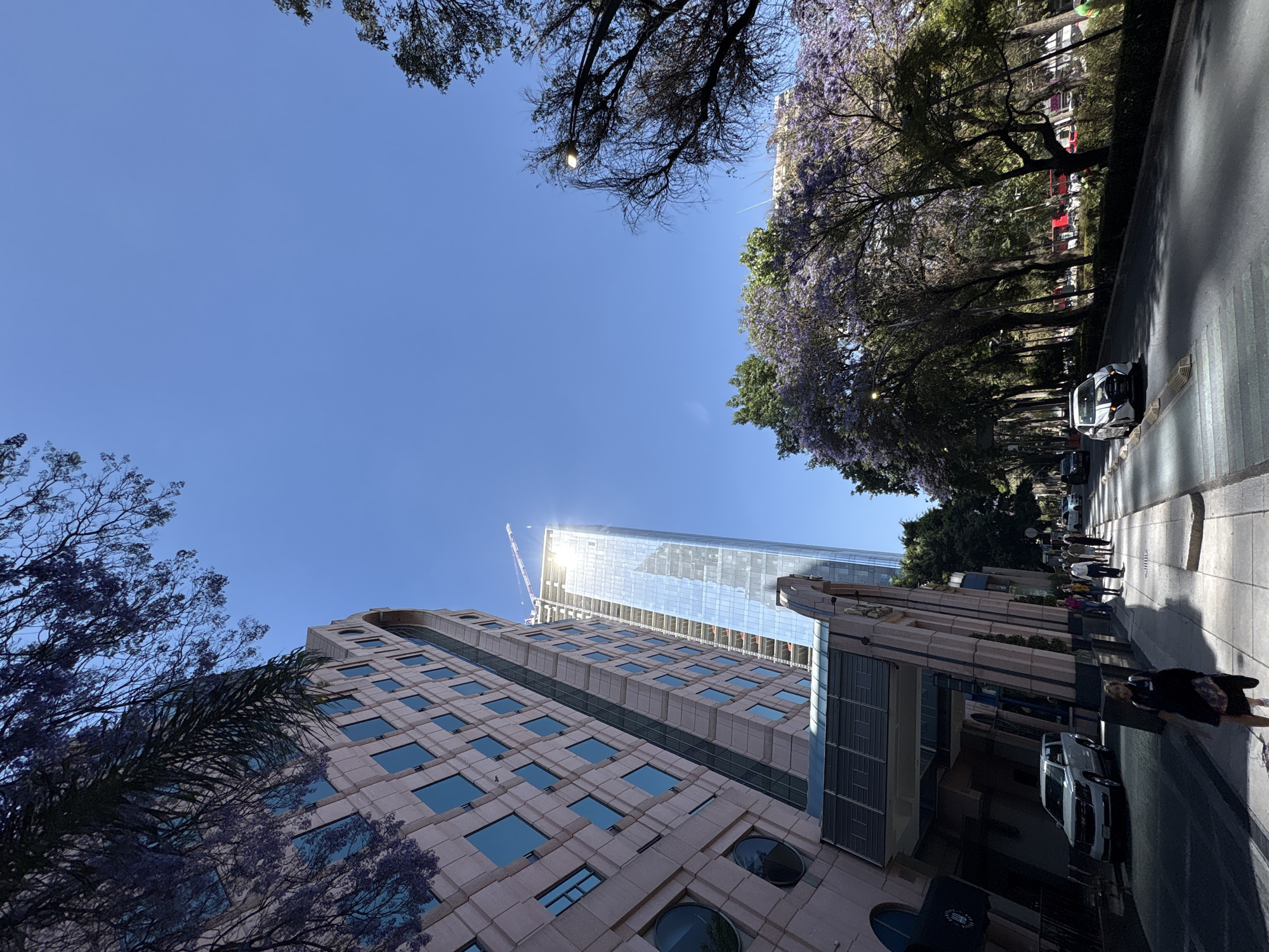 The image depicts a sunlit urban street scene on Paseo de la Reforma in Mexico City, Mexico. The perspective is upward-angled, capturing a wide thoroughfare, pedestrian areas, and tall buildings under a clear blue sky.
In the foreground on the left, a pedestrian sidewalk features a woman wearing a dark top, a dark skirt, and carrying a bag, walking towards the viewer. Further along this sidewalk, a group of approximately 5-7 individuals walks away from the camera. Adjacent to the sidewalk, a multi-story building, identified as The St. Regis Mexico City, presents a light peach-colored, block-patterned facade with numerous rectangular and some circular windows. Its distinctive, angled entrance canopy, featuring dark paneling, partially shelters a parked silver SUV.
Behind and to the right of The St. Regis Mexico City, a significantly taller, slender, modern skyscraper, identified as Chapultepec Uno R509, is visible. This building is clad primarily in reflective glass and appears to be under construction, with a crane visible at its summit. Bright sunlight reflects intensely off its glass facade.
The paved street in the mid-ground features visible crosswalk markings. A white sedan with a black stripe on its hood is visible in the left traffic lane, traveling away from the camera. The street is lined with numerous mature trees, many of which are Jacarandas, currently in full bloom with prominent purple flowers, particularly on the right side. A streetlight fixture, illuminated, is visible on the right side, extending above the tree canopy.