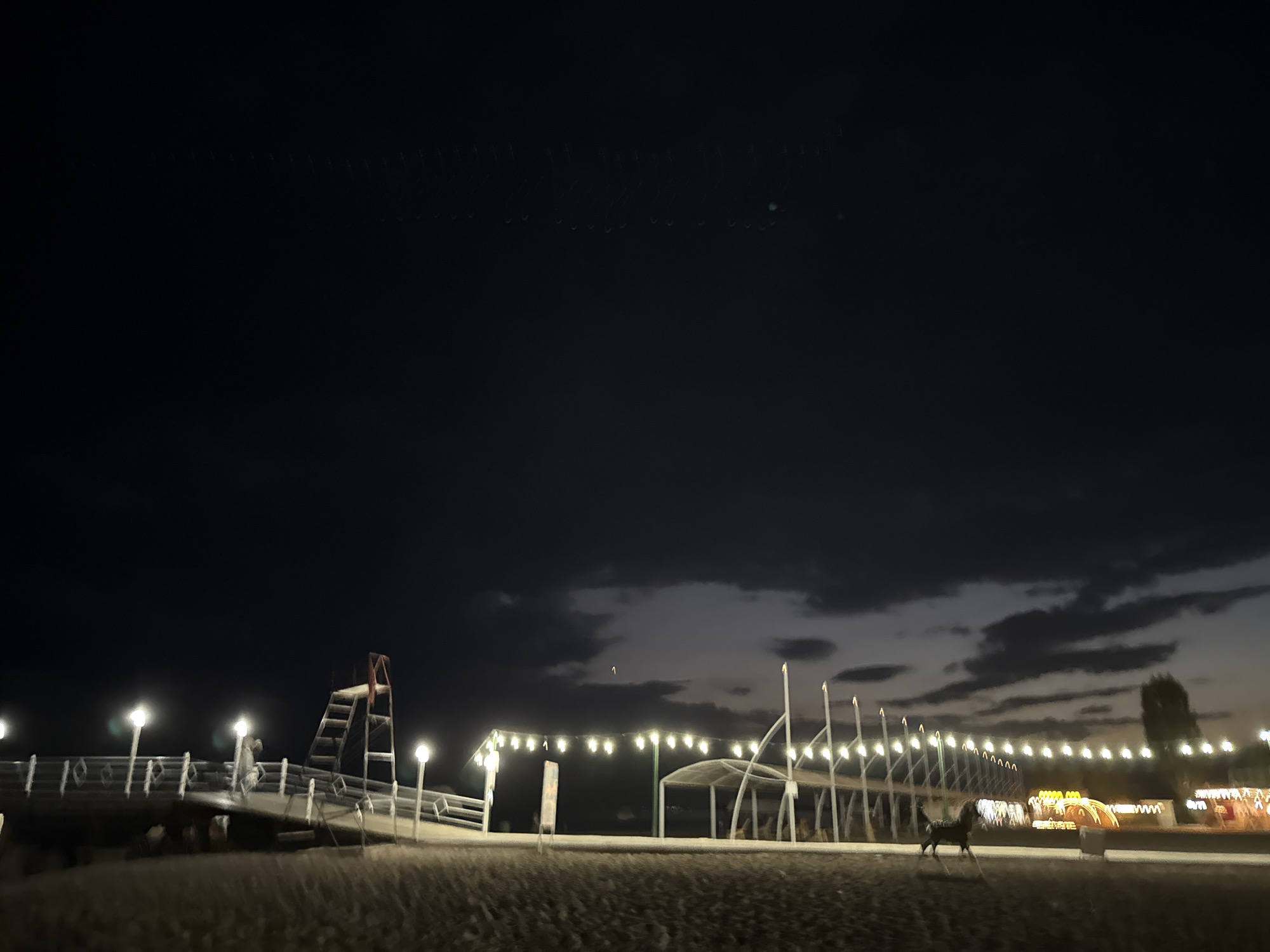 The image depicts a nighttime scene on a beach or waterfront area in Sary-Oy, Kyrgyzstan. A wooden pier with white railings and illuminated by several streetlights extends into the frame from the left. A lifeguard stand with a red platform and ladder is visible on the pier. Further along the waterfront, a string of festive lights illuminates a covered seating area and other structures. In the middle ground, a dark, quadrupedal animal, possibly a horse, is seen running across the sandy ground. The sky is dark with scattered clouds, and the overall lighting suggests twilight or late evening.