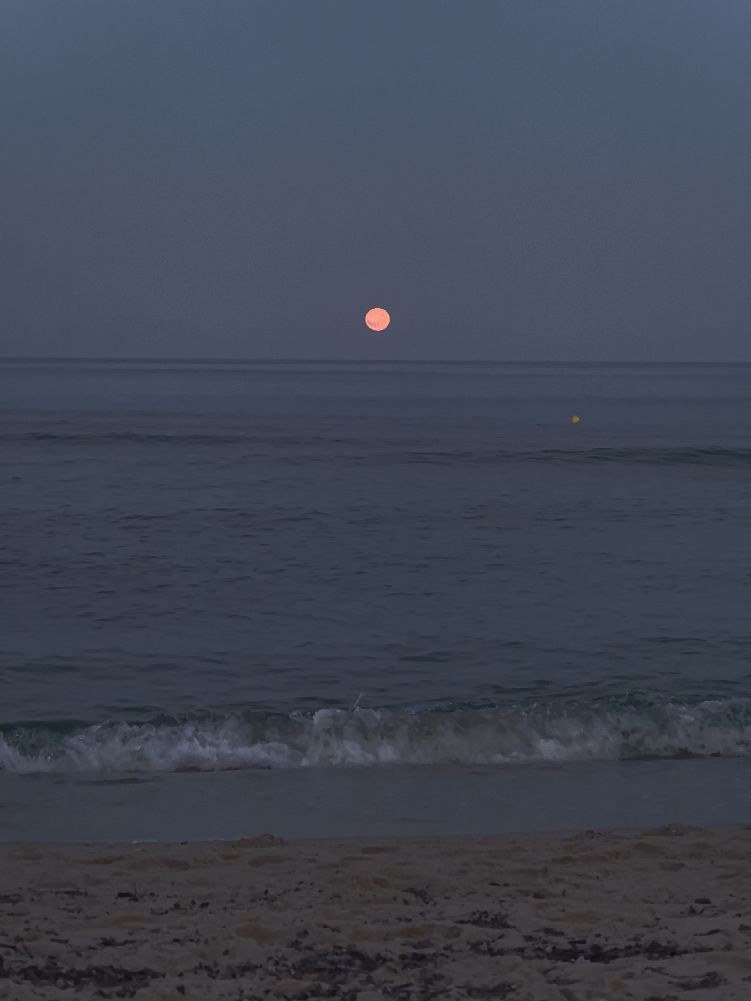 This is a photograph of a beach scene at dusk in Golden Beach, Greece. The sky is a deep, muted blue, with a soft gradient towards a lighter hue near the horizon. A large, reddish-orange moon is visible in the upper center of the sky, appearing as a distinct disc against the twilight. The sea occupies the middle section of the image, with gentle waves rolling towards the shore. The water is a dark, deep blue, reflecting the dim light of the sky. A small, yellow object, possibly a buoy, is visible in the distance on the water. The foreground depicts a sandy beach, appearing wet and dark from the receding tide. Scattered debris, such as seaweed and small pieces of wood, are visible on the sand. No people are present in the scene. The overall mood is serene and peaceful, characteristic of a quiet evening by the sea.