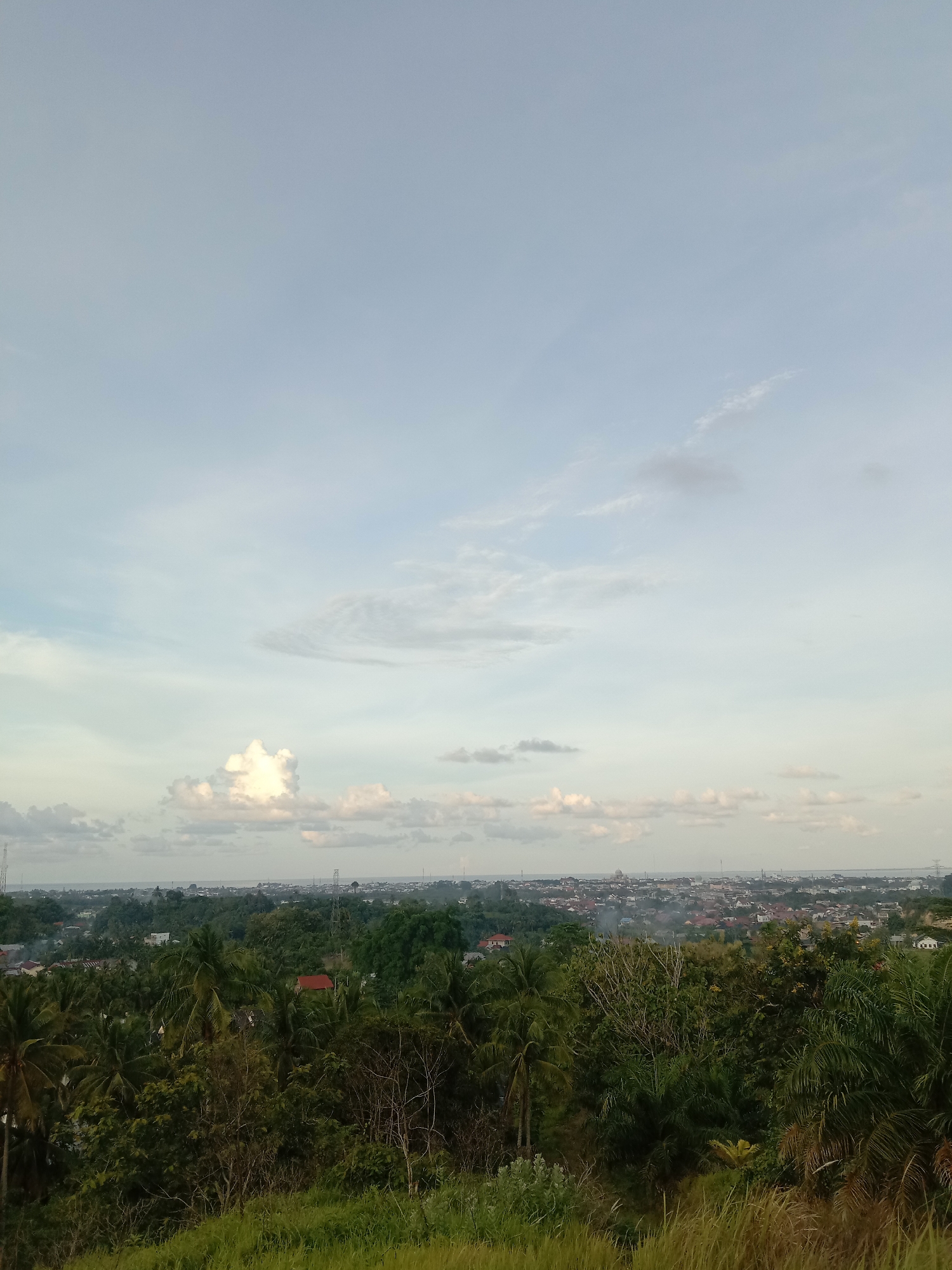 The image depicts a cityscape in Lhokseumawe, Indonesia, taken from an elevated position. In the foreground is a dense patch of greenery, including palm trees and tall grass. Beyond the greenery, a residential area with houses is visible, with a mix of tree cover interspersed. The sky is mostly overcast with scattered clouds. In the far distance, the horizon line is slightly hazy. A utility pole is visible at a distance in the center of the image.