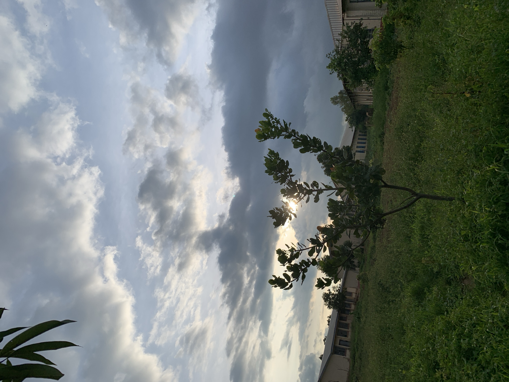 This is a low-angle, wide shot of a green field with some buildings and trees in the background, under a cloudy sky. The sun is visible through some of the clouds, creating a sunburst effect. A tree branch with green leaves is in the foreground, silhouetted against the sky. The scene appears to be set in Kuru Karama, Nigeria, and it looks like it might be late afternoon or early evening. The weather appears to be mixed, with both bright sunlight and dark clouds. The overall mood is peaceful and serene, with a touch of drama from the dramatic sky. The image is in portrait orientation.