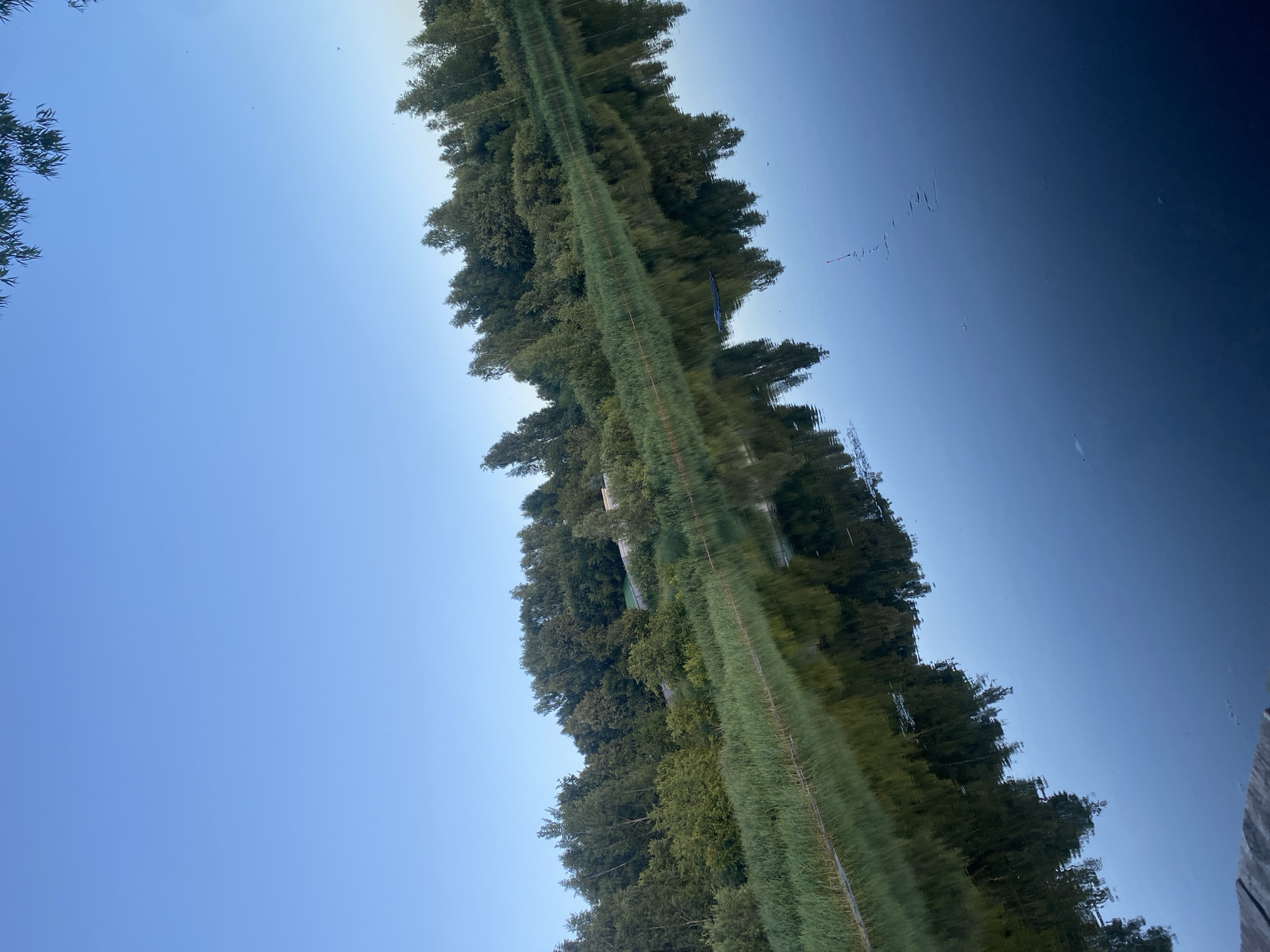 The image depicts a serene natural scene, likely a body of water reflecting a treelined embankment under a clear blue sky. The reflection creates an inverted image of trees and what appears to be a grassy bank, with the water's surface showing ripples that distort the reflection. In the sky, there are some small dark specks, possibly birds or insects, and faint lines in the water's reflection suggest the presence of something above, perhaps a kite or a drone. The light suggests it is daytime, possibly morning or late afternoon, given the clear and deep blue of the sky. The overall mood is tranquil and peaceful. The location context provided is Афанасьево, Russia. There is no visible text in the image.
