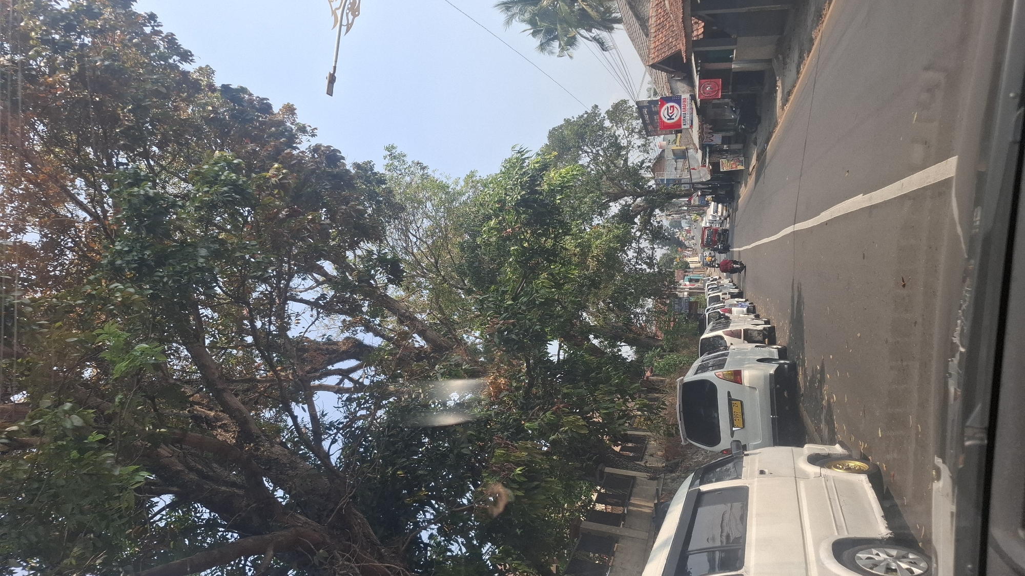 The image depicts a street scene in Cilaku, Indonesia, on a bright, clear day. A row of white vans is parked along the left side of the asphalt road, which has a white dividing line down the center. On the right side of the road, there are shops and houses with brown roofs. A street light is visible in the upper right corner. Mature trees with dense green foliage line the left side of the road, casting shadows. A motorcycle is being ridden down the center of the road, and other vehicles are visible in the distance. The overall impression is of a busy, ordinary day on a local road.