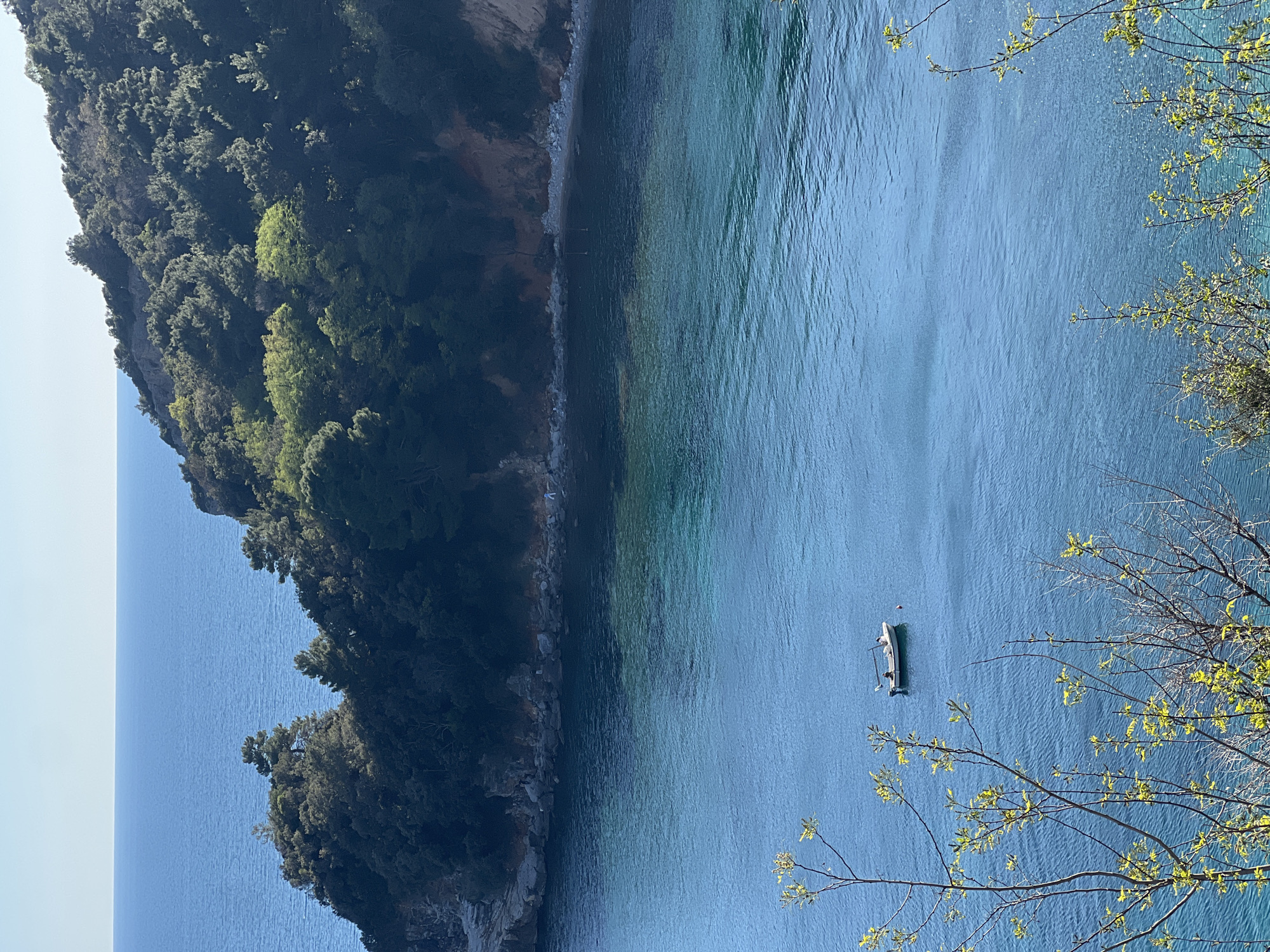 A high-angle shot shows a coastal scene in Budva, Montenegro. The primary focus is on a cove with clear blue water, a small boat anchored in the middle. The coastline features a tree-covered cliff descending to a small beach area. Some trees and branches with light green leaves are visible in the foreground, along the right side. The water's color gradation indicates varying depths, with a lighter turquoise near the shore.
