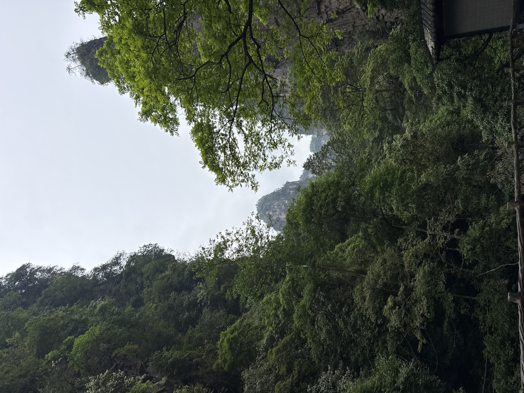 The image shows a lush, mountainous landscape in Luoguta, China, viewed from below. Dense green trees and foliage cover the slopes, with rock formations visible through gaps in the vegetation. The sky is overcast and grey. A section of a building or structure is visible in the upper right corner.
