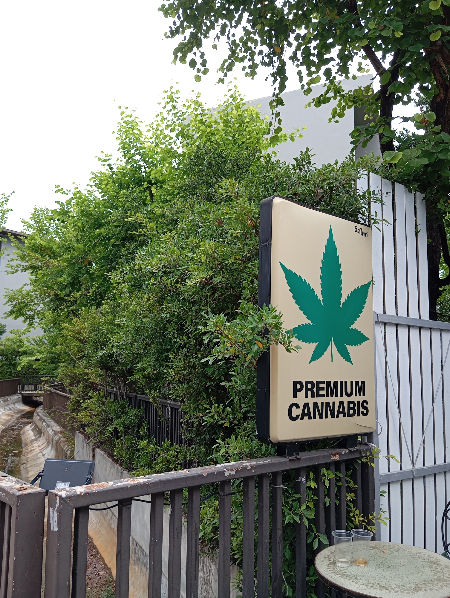 This is a photograph of a sign for "PREMIUM CANNABIS" located in Karon, Thailand. The sign, which is illuminated, features a green cannabis leaf symbol against a light beige background. It is mounted on a dark railing, with lush green foliage and trees surrounding it. In the background, a white fence and a white building are visible. The overall scene suggests an outdoor setting, possibly a street or a commercial area in Karon, Thailand.