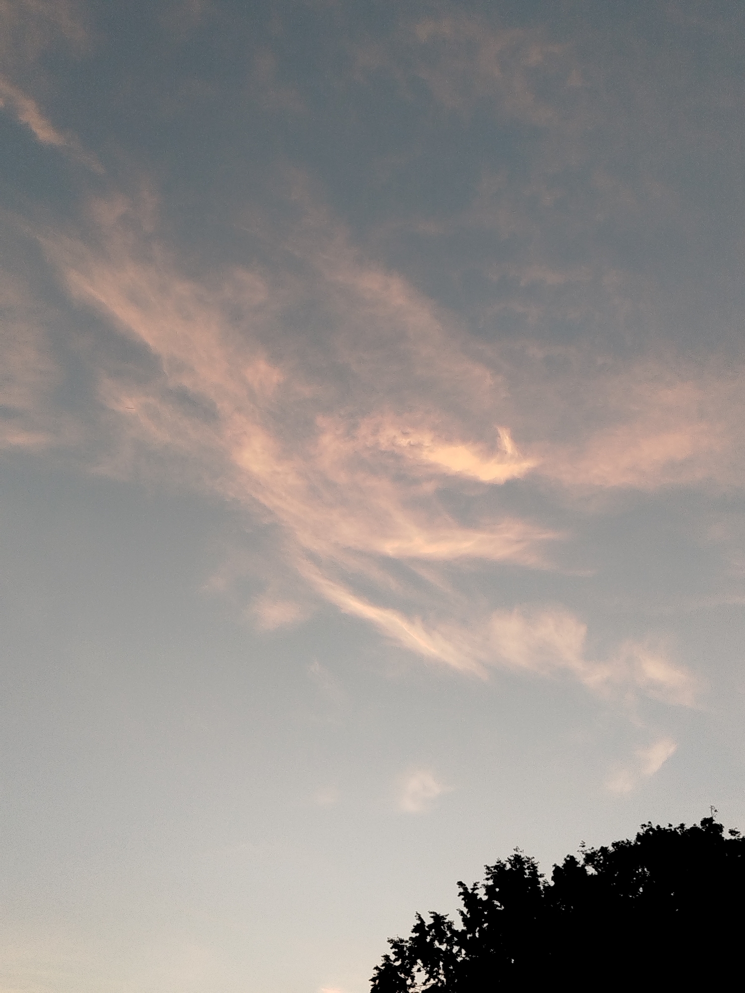 The image shows a silhouetted treeline against a pale blue sky with wispy clouds tinged with pink. The treeline is dark and irregular, suggesting foliage and branches. The sky is mostly clear, with the soft hues of dawn or dusk creating a gentle light. The image does not provide any information about the city of Kitzingen, Germany.