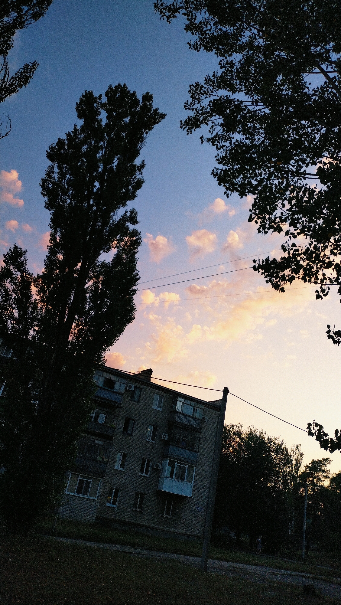 This image depicts a view from the city of Horishni Plavni, Ukraine, at dusk. Silhouetted trees frame a twilight sky filled with scattered pink and orange clouds. A multi-story, brick apartment building, common in Soviet-era architecture, is visible in the lower half of the frame. Power lines crisscross the sky above the building. The foreground consists of dark grass and a pathway. No people are clearly discernible in the image. The overall impression is one of a quiet evening in a residential area.