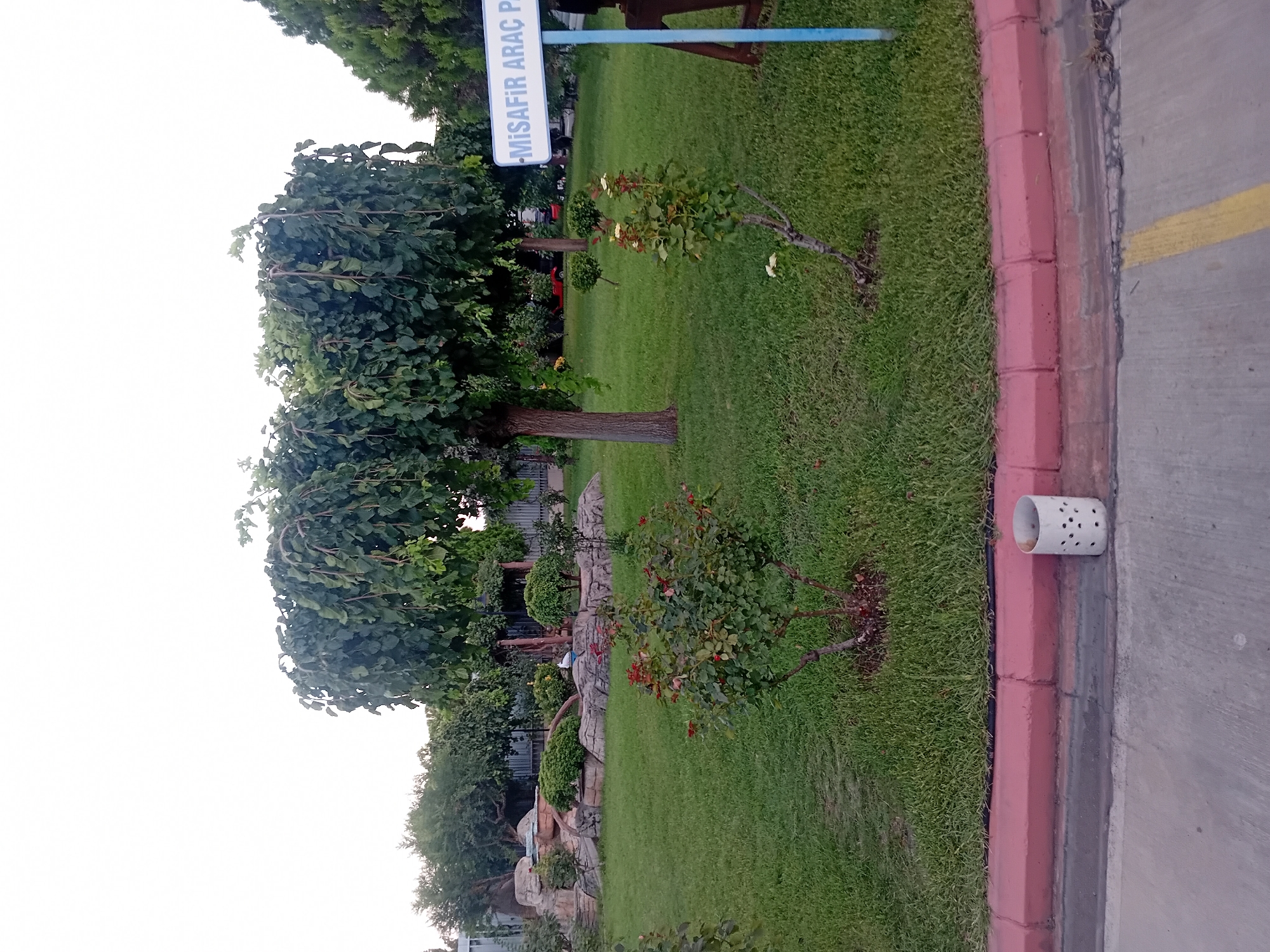 The image shows a well-maintained garden area. In the foreground, a paved surface transitions into a grass lawn bordered by a pink curb. A white cylindrical object with holes sits on the curb. The lawn is dotted with small rose bushes and a larger tree with drooping branches. In the middle ground, there is a decorative rock formation with some smaller bushes. A sign with blue text on a white background is visible to the right, which appears to say "MİSAFİR ARAÇ PARK". In the background, there is a fence and more trees. The sky is overcast. The location is in the city of Onikişubat, Turkey.