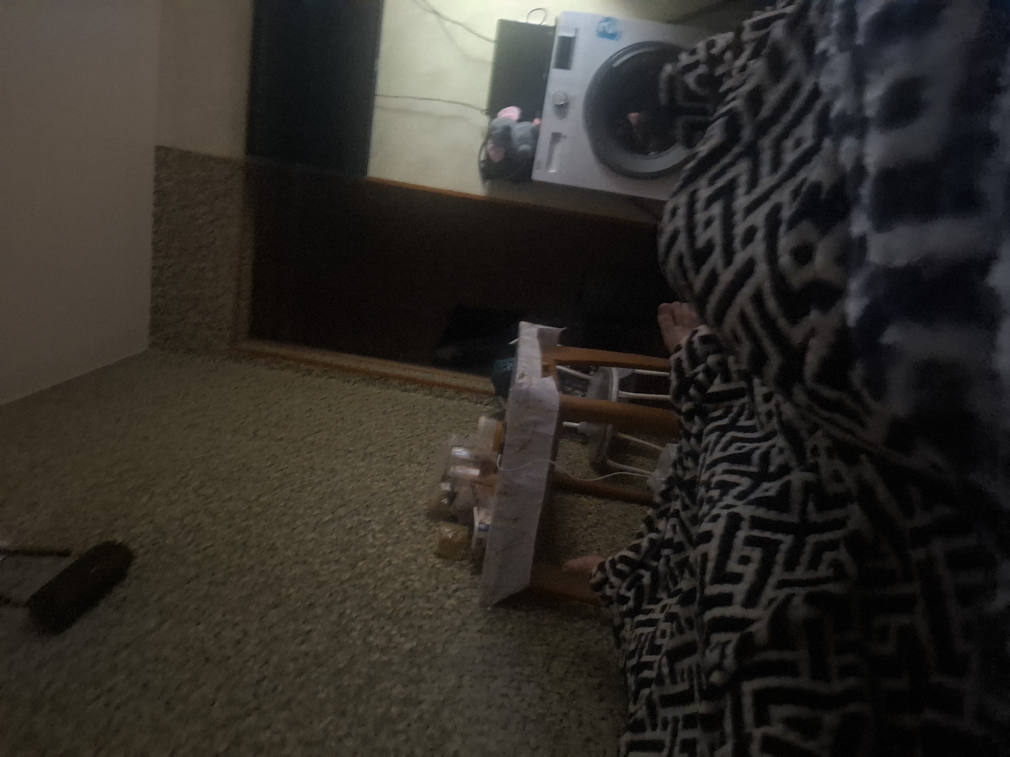 The image depicts an indoor scene, likely a residential setting. The main subject is a person partially visible, draped in a black and white patterned blanket. Their feet are also visible, suggesting they are seated or lying down.
In the background, a washing machine is present, indicating a laundry area or a utility space within the home. A small, gray stuffed animal with pink accents is placed near the washing machine. A dark rectangular object, possibly a shelf or a cabinet, is positioned to the left of the washing machine.
In the foreground, a wooden rack holds several items, including bottles that appear to be filled with liquid. Some of these bottles are wrapped in white material. The floor is carpeted with a speckled texture. To the left of the rack, a dark, elongated object, possibly a remote control or a phone, is resting on the carpet.
The lighting in the image is dim, suggesting it might be nighttime or a poorly lit room. There are no explicit cues about the weather. The overall impression is a candid, somewhat cluttered snapshot of domestic life. No text is legible in the image.