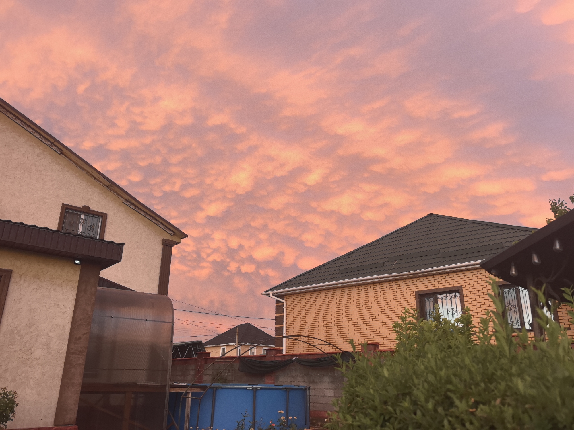 The image depicts a suburban residential area with houses and a dramatic sunset sky filled with pink and orange clouds. In the foreground, on the left, a two-story house with textured beige walls and a brown roof is partially visible. A large, transparent greenhouse structure is attached to this house. To the right, another house with yellow brick walls and a dark roof is shown. Between these houses, a blue above-ground swimming pool is visible, surrounded by a low brick wall and a black tarp. Green foliage is present in the foreground and to the right of the yellow brick house. The sky is the dominant feature, displaying a vibrant sunset with scattered, fluffy clouds. The overall scene suggests a peaceful evening in a residential neighborhood. The location is identified as Taldykorgan, Kazakhstan.