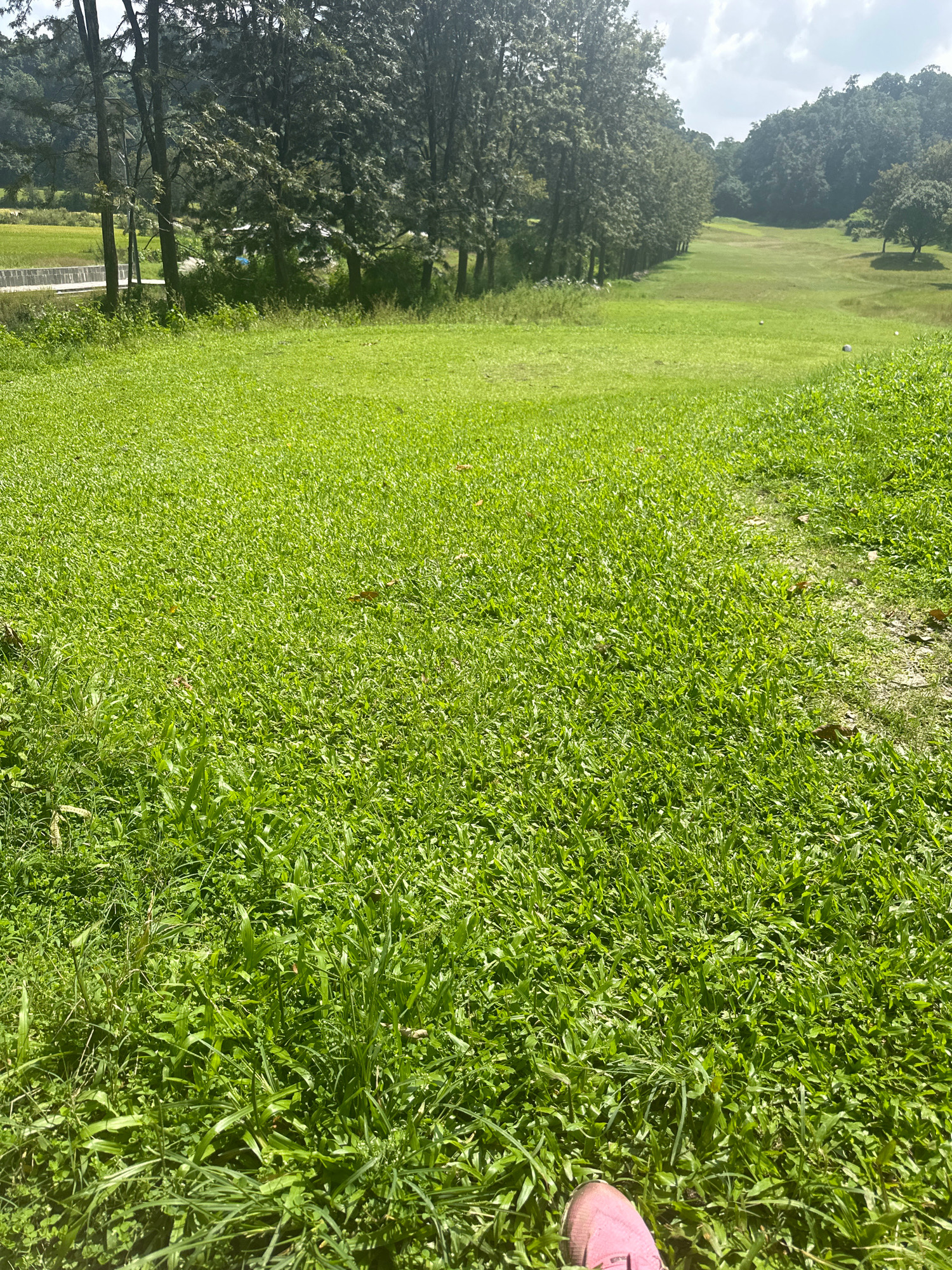 The image shows a green grassy field, likely a golf course or a park, with trees lining one side. The grass is lush and green, with some fallen leaves scattered on it. In the foreground, a pink shoe is visible, suggesting a person is present. In the distance, rolling hills covered in trees are visible under a cloudy sky. The location appears to be Gokarneshwar, Nepal.