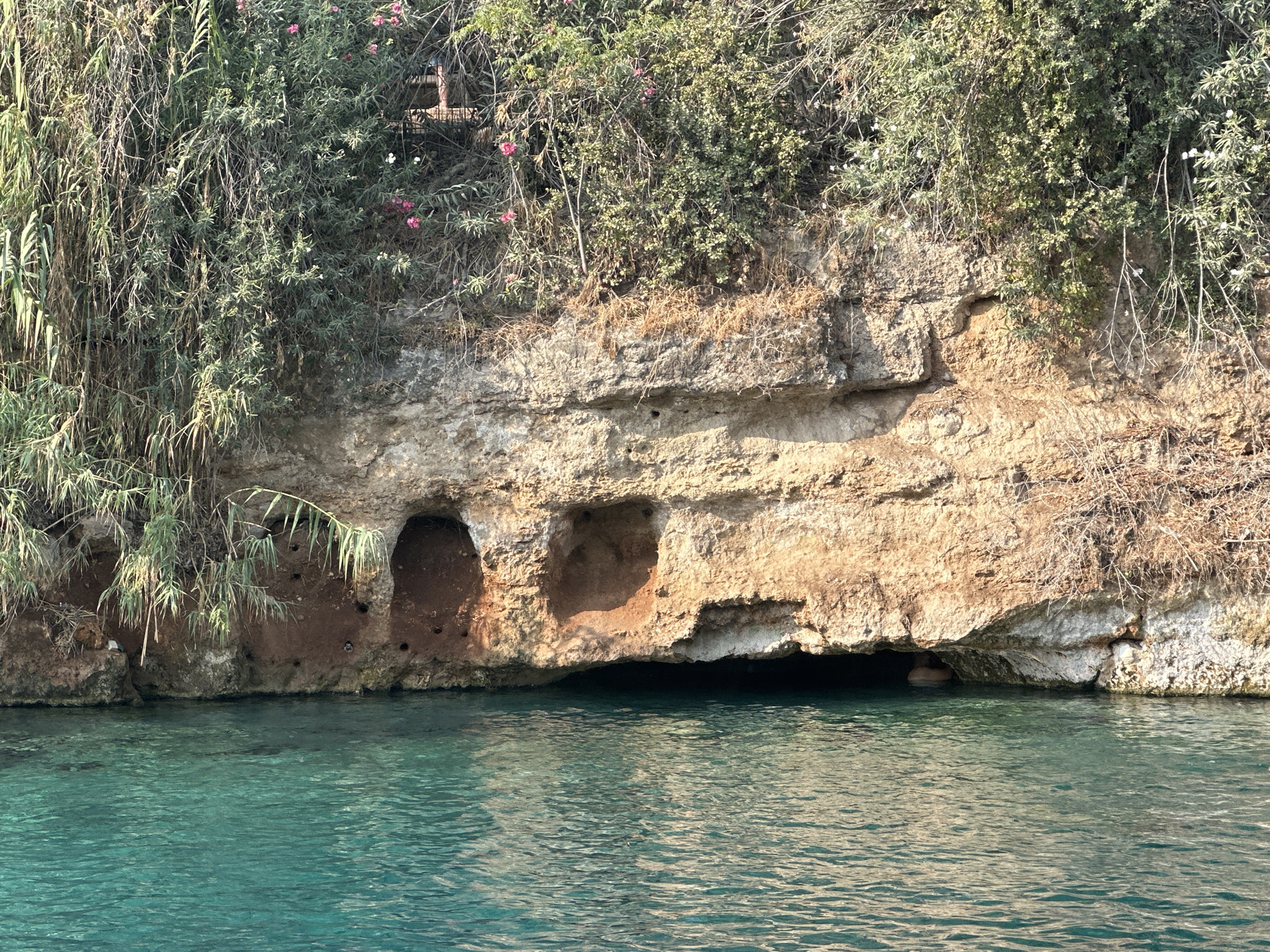 The image depicts a natural rock formation along a body of turquoise water. The rock face is weathered and features several openings that appear to be small caves or hollows. Lush green vegetation, including reeds and flowering bushes, grows along the top and sides of the rock. The water is clear and calm, with ripples on its surface. In the far right of the image, a person can be seen partially submerged in the water within one of the cave openings. The scene is likely a natural cove or grotto. The location in Emek HaMaayanot Regional Council, Israel, is known for its natural springs and scenic landscapes, which are consistent with the imagery presented.