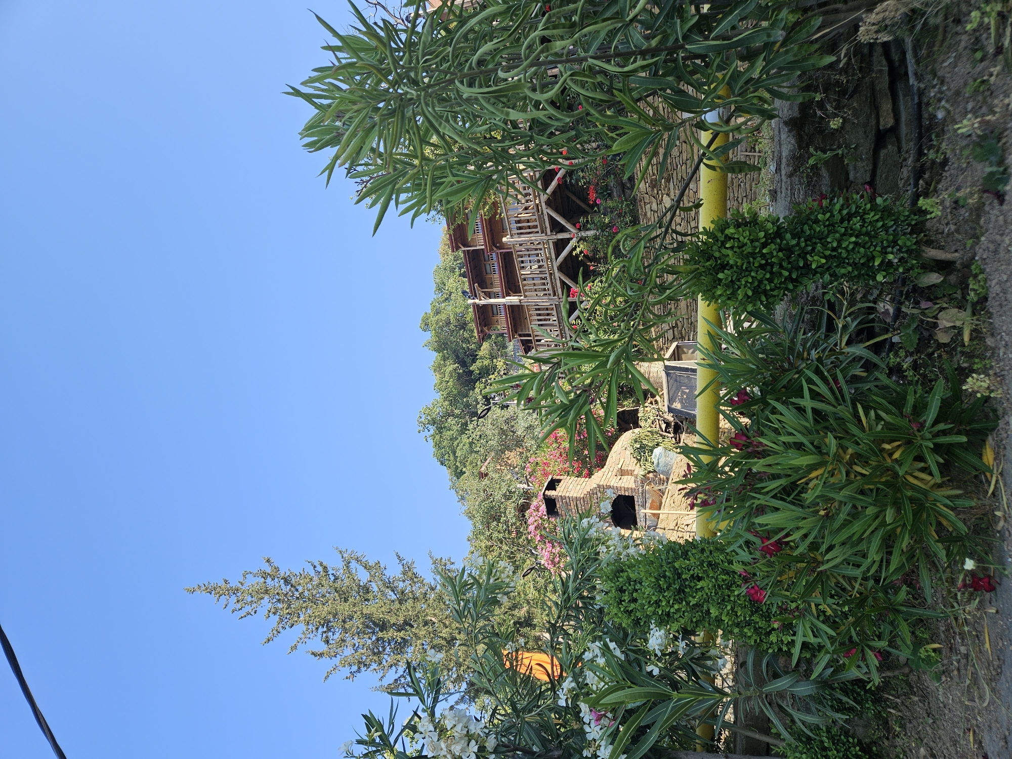 The image captures an outdoor scene in Tire, Turkey, under a clear, bright blue sky with a dark overhead utility line visible in the upper left quadrant. The foreground is dominated by dense green foliage, including oleander plants with scattered white and pink flowers, and a prominent small, conical evergreen bush in the center. A horizontal yellow pipe is partially visible across the mid-ground, running behind some vegetation. In the middle-left, a brick outdoor oven or fireplace with a chimney is situated, surrounded by more greenery. Towards the upper right and center, a multi-tiered wooden building, possibly a guesthouse or lodge with multiple balconies and wooden railings, is nestled into a densely wooded hillside. A tall, slender coniferous tree stands prominently on the left side, extending into the sky. A low stone retaining wall is visible in the lower mid-ground. The immediate foreground consists of uneven, sparsely vegetated soil. No individuals are present in the scene. The lighting suggests daylight conditions.