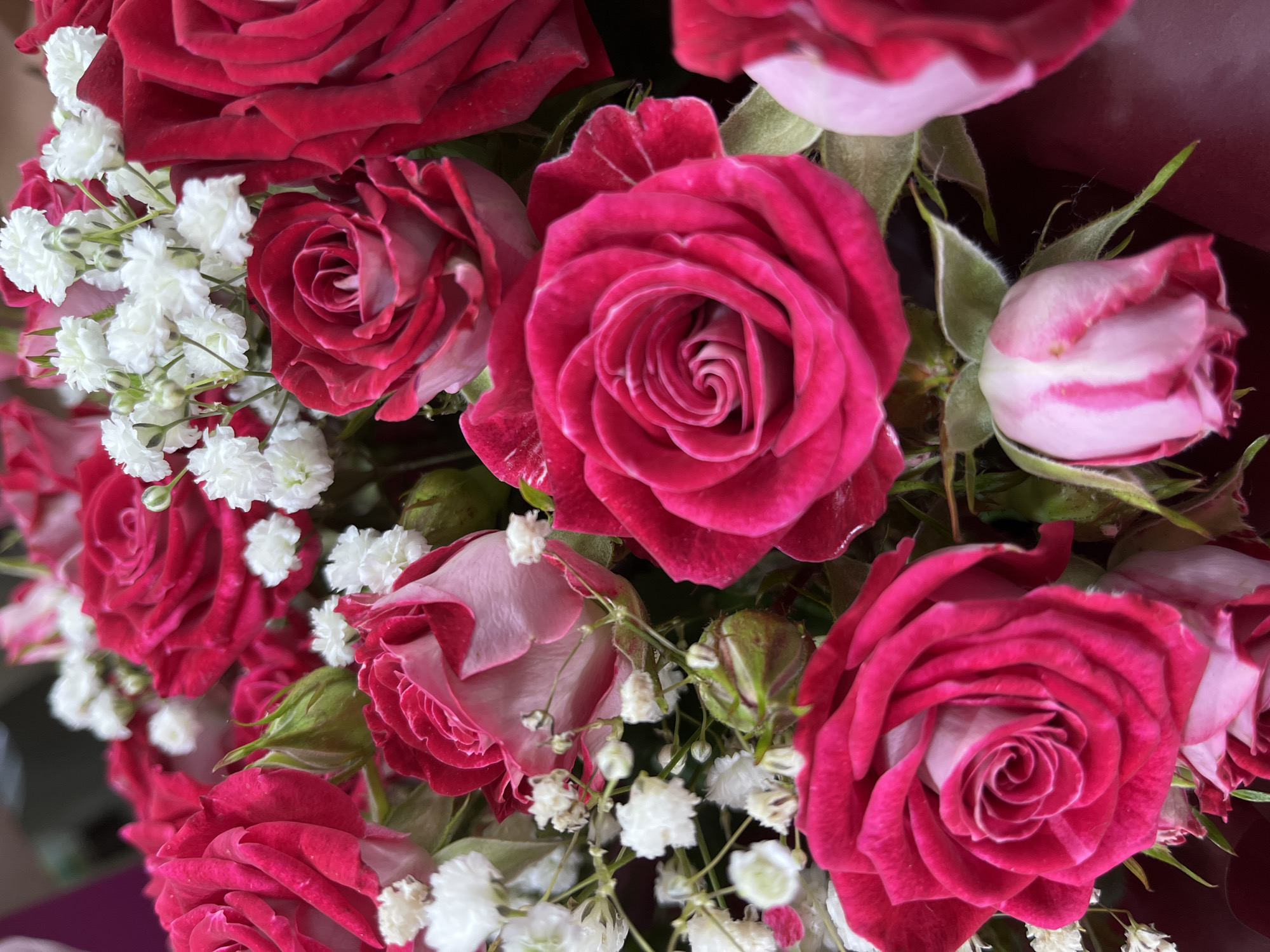 A close-up shot shows a bouquet of vibrant fuchsia and pink roses, interspersed with delicate white baby's breath flowers. The roses are in various stages of bloom, with some fully opened to reveal their intricate petal structures, while others are tightly budded. Green leaves and stems are visible, adding a natural touch to the arrangement. The lighting is soft, highlighting the rich colors and textures of the flowers. The background is blurred, suggesting the bouquet is the sole focus of the image. The scene appears to be indoors, possibly a gift or display.