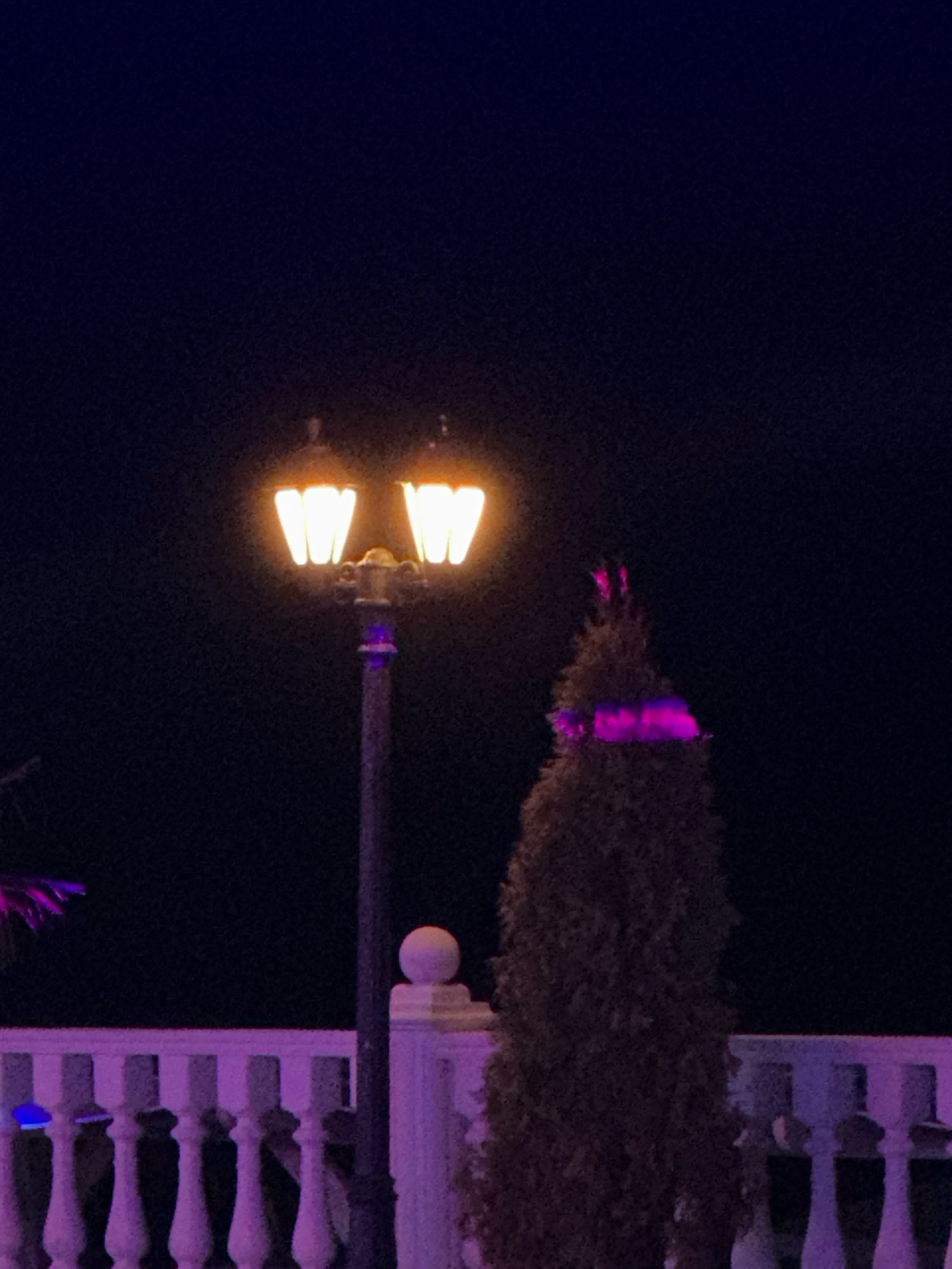 The image captures a night scene in Lermontovo, Russia, featuring a vintage-style lamppost with two illuminated globes casting a warm, orange light. The lamppost is situated outdoors, with a dark, deep blue sky as the backdrop. To the right of the lamppost, a tall, conical evergreen tree is visible, adorned with vibrant purple lights. In the foreground, a white ornate railing with decorative balusters runs horizontally across the frame, also illuminated with a soft purple glow. Parts of what appear to be palm fronds, lit with purple light, are visible on the far left. A small, spherical decorative element is positioned on top of a post to the right of the lamppost. The overall impression is one of an outdoor evening setting, possibly a park or a decorative garden area.