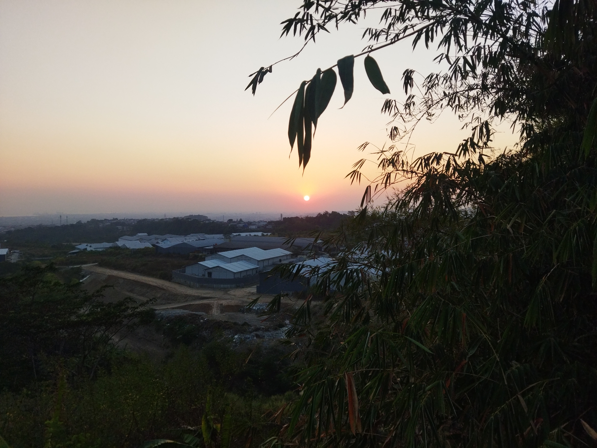 The image depicts a twilight view of a developing industrial area at the outskirts of Semarang, Indonesia, likely in a hilly region given the elevation difference and the presence of natural vegetation. The sky is a gradient of soft oranges and yellows near the horizon, fading to a pale grey at the top, indicating the sun has recently set or is about to rise.
In the middle ground, a cluster of modern, utilitarian buildings with white or light grey roofs are visible. These structures appear to be warehouses or factory units, arranged in a somewhat organized manner within a construction site characterized by bare earth, dirt roads, and piles of debris. Some of the buildings are fully constructed, while others may be in various stages of completion, suggested by the unfinished appearance of the surrounding terrain.
The foreground and right side of the image are dominated by the dark silhouettes of lush green foliage, likely bamboo or similar broad-leafed plants, with some branches and leaves reaching into the frame, partially obscuring the view of the industrial site and the sky. The vegetation is dense and appears to be growing on a slope overlooking the construction area.
There are no people visible in the image. The scene captures a moment of transition from day to night in a developing urban-industrial landscape, contrasting the natural environment with man-made structures. The overall impression is one of a functional, possibly newly established, commercial or industrial zone set against a natural, albeit encroached upon, backdrop. The precise location within Semarang is not definitively identifiable from the visual information alone, but the presence of such industrial development and hilly terrain suggests an area on the periphery of the city.