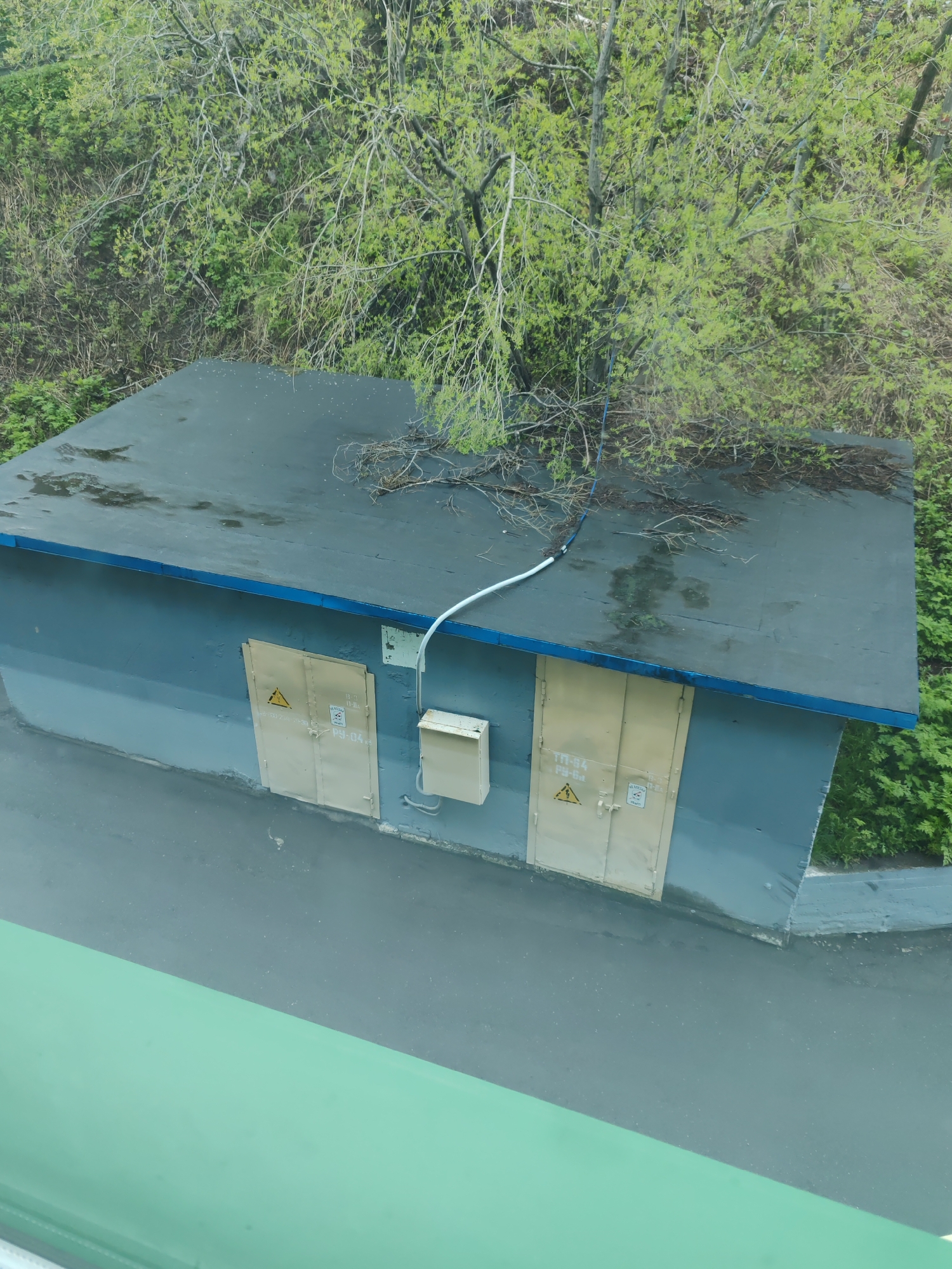 This image captures an outdoor, slightly elevated view of a small, rectangular utility building or shed, set amidst dense foliage. The building is painted a muted gray-blue with a dark gray flat roof, trimmed with a blue band. Wet patches are visible on the roof, suggesting recent rain.
On the front of the building are two light beige metal doors. Both doors feature yellow triangular warning signs with a black lightning bolt symbol, indicating electrical danger. Below the lightning bolt on the left door, Cyrillic text is visible, including "НЕ ВЛЕЗАЙ! УБЬЕТ!" (Do not climb! It will kill!) and "ТП-04" (likely Transformer Substation 04) and "РП-0А" (likely Distribution Point 0A). Similar, though less clear, text is on the right door, along with a small white rectangular sign showing a person symbol and likely "ОПАСНО" (Danger).
Between the two doors, a small, light beige utility box is mounted on the wall. A white conduit pipe runs from the wall, across the roof, and disappears into the surrounding greenery.
The scene is dominated by lush green trees and foliage, with branches extending onto and over the building's roof. The vibrant green suggests spring or summer. In the immediate foreground, a broad, bright green surface, possibly a window ledge or balcony railing, partially obscures the view of the ground directly in front of the building. The visible ground area is paved with dark asphalt.
No people are present. The image appears to be taken during the daytime, under possibly overcast conditions. The visible text in Cyrillic indicates a location in a Slavic-speaking region. The overall impression is an older, functional utility structure that has seen some neglect, with nature beginning to reclaim parts of it.