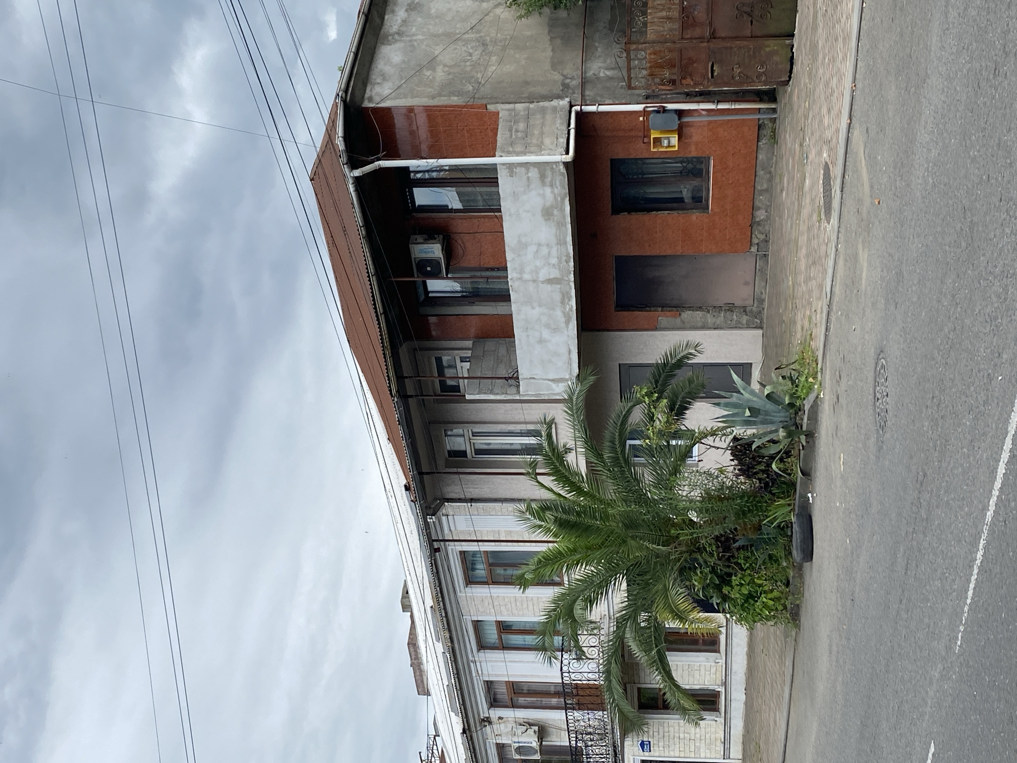 This image depicts a street scene in Batumi, Georgia, under an overcast sky. The focal point is a two-story building with a split architectural style. The left side features a lighter-colored facade with multiple windows and a balcony with ornate iron railings. An air conditioning unit is visible on this section. A palm tree and other greenery are planted in front of the building, with a discarded tire resting on the ground near the vegetation.
The right side of the building is darker, with orange tiled walls on the upper level and a concrete facade on the lower level. This section has a balcony with a simple concrete railing, and air conditioning units are also present here. A brown door and a window are on the lower level, with a yellow utility box and a grey pipe mounted on the exterior wall. To the far right, a rusty, ornate metal gate is visible. The street in front of the building is paved with asphalt and has a white line marking. The sidewalk is paved with cobblestones. The overall environment suggests a somewhat aged urban setting. No people are visible in the image.
