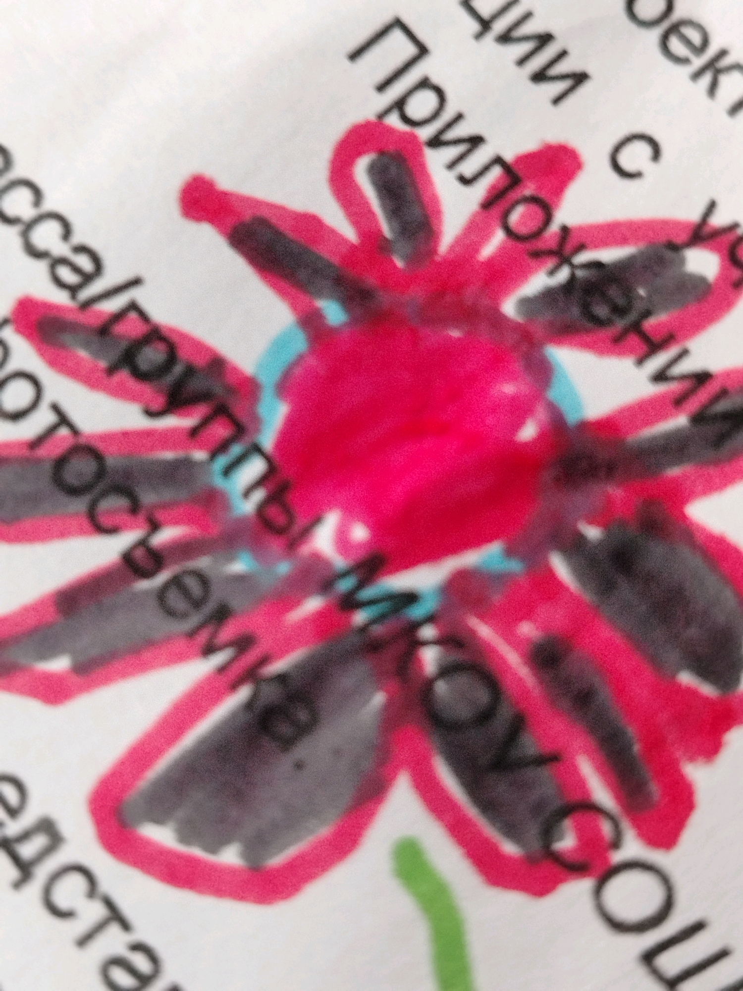 The image shows a close-up of a hand-drawn flower with pink and gray marker on paper. Text is visible around and behind the drawing. Some of the visible text includes Russian words such as "Приложения" (applications), "группы" (groups), "фотосъемка" (photography), and "представ". The flower is drawn in a simplified, childlike style, with bright pink petals outlined in a darker pink and gray shading. A small blue circle is in the center of the flower. The paper appears to be part of a document or notebook. There are no people or animals visible in the image. The image is focused on the drawing and the surrounding text, with the background being out of focus. There is no information in the image that indicates its location in Pregradnoye, Russia.