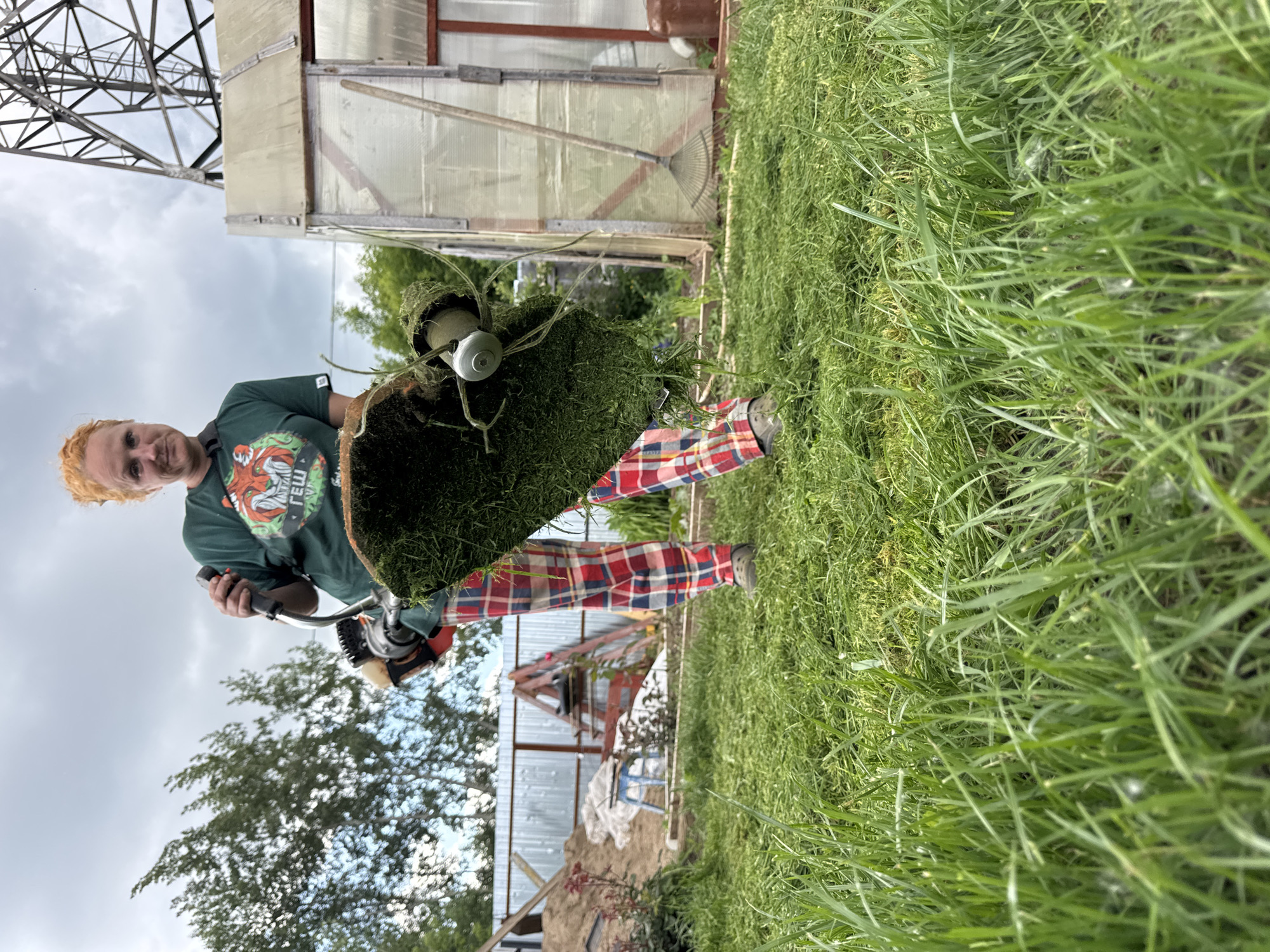 A person with red hair and a green t-shirt with an orange tiger graphic is standing in a yard, holding a string trimmer that is actively cutting grass. The trimmer head is positioned low to the ground, covered in freshly cut grass. The person is wearing red and blue plaid pants. In the background, there is a greenhouse, a metal fence, a pile of sand, and some trees under a cloudy sky. The location is identified as Chaikovsky, Russia.