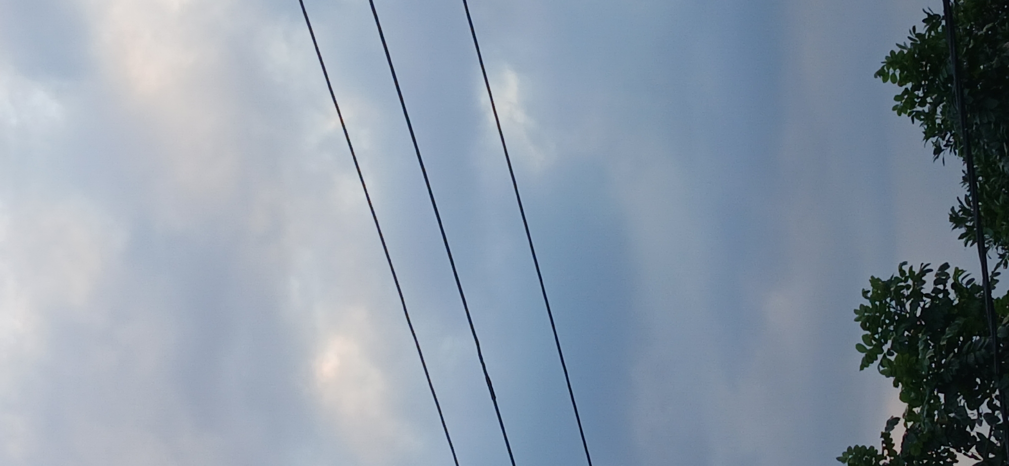 A vertical, eye-level shot captures a cloudy sky in Tenggarang, Indonesia. Three dark power lines stretch horizontally across the frame, dividing the sky into sections. The clouds are a mix of white and gray, with patches of lighter sky peeking through. At the bottom of the image, the tops of lush green trees are visible, their leaves dense and varied. The overall impression is a peaceful, overcast day in a semi-rural or suburban setting, characterized by the interplay of natural elements and man-made infrastructure.