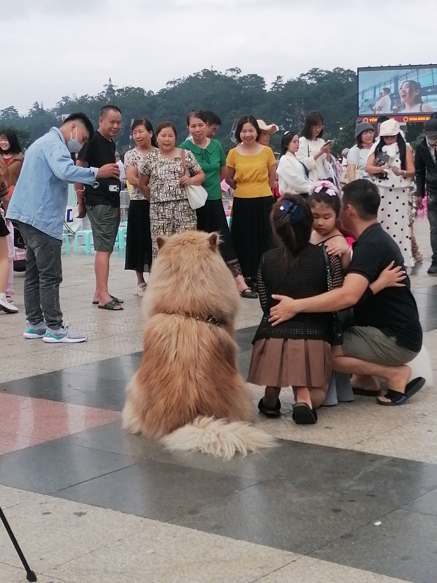 In Da Lat, Vietnam, a fluffy, tan-colored dog sits facing away from the camera in a paved public square, its back to a group of people. A man in a black t-shirt and gray shorts is kneeling, embracing a young girl in a black top and brown skirt. Another young girl, wearing a black top and a blue ribbon in her hair, is also being embraced by the man. Nearby, a man in a denim jacket and jeans, wearing a face mask, appears to be interacting with someone outside the frame. Several other individuals, mostly women wearing casual attire and some with hats, are standing and observing the scene. A large outdoor screen displaying an image of people is visible in the background, along with trees and hills. The ground of the square is tiled with geometric patterns.
