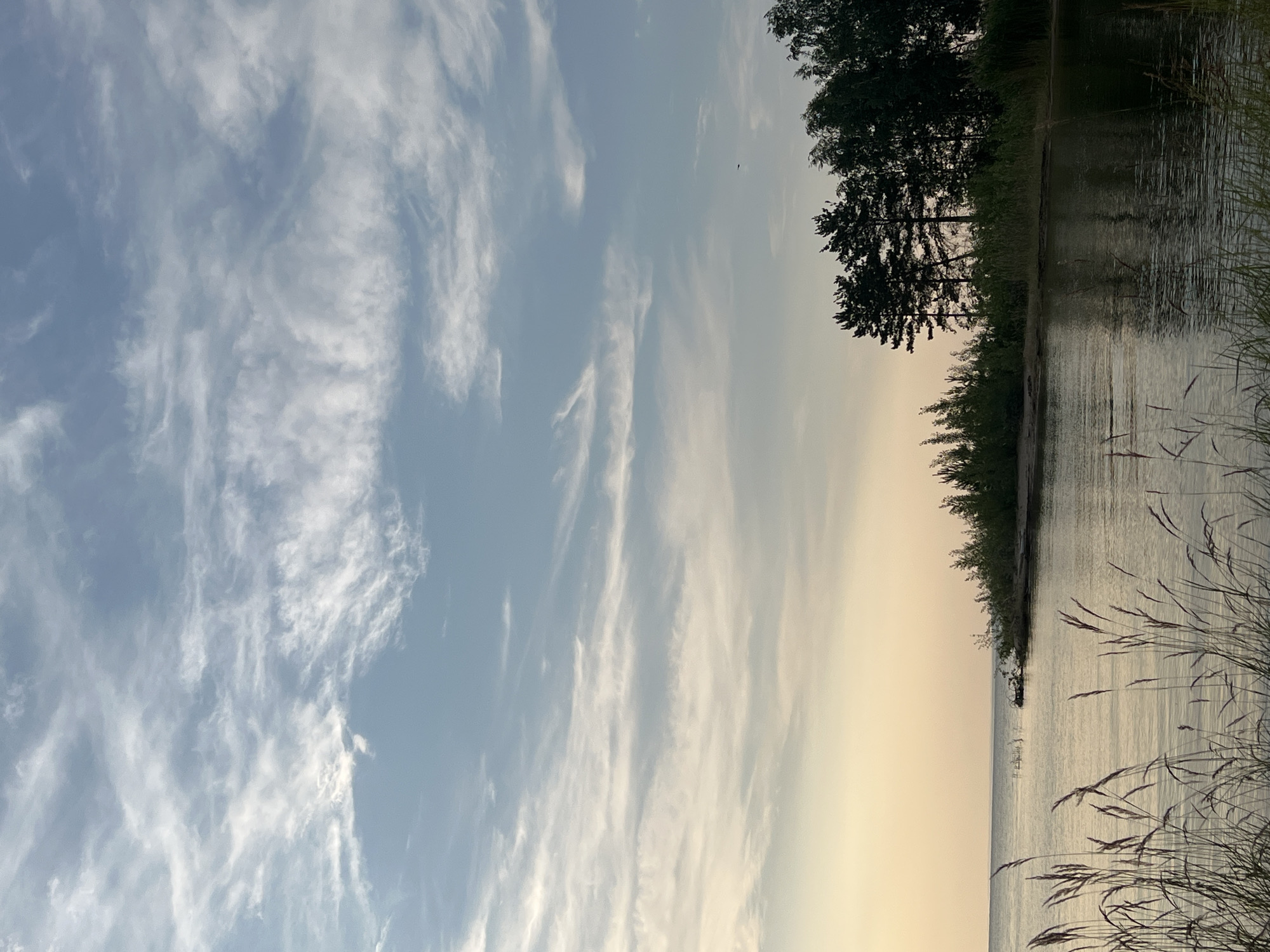 This media file depicts a serene natural scene at Borovoe, Russia, likely during a calm sunset or sunrise. The image is oriented vertically, showcasing a transition from sky to water.
The upper portion of the image is dominated by a light blue sky filled with wispy, streaky white clouds. These clouds create a dynamic texture against the pale blue background, suggesting a gentle breeze. In the distance, a single dark silhouette, possibly a bird, is visible in the sky.
The lower portion of the image shows a body of water, likely a lake, with a calm surface that reflects the soft light of the sky. The water appears still, with subtle ripples indicating a tranquil environment. Along the shoreline, a dense line of trees and vegetation creates a dark, silhouetted backdrop. The trees are tall and slender, characteristic of a forest or wooded area. In the foreground, tall grasses or reeds are visible, their feathery tops softly illuminated by the ambient light, adding a touch of texture and depth to the scene.
The overall mood of the image is peaceful and contemplative. The soft lighting and the natural elements combine to create a sense of tranquility and natural beauty. The time of day is suggested by the warm, fading light towards the horizon, hinting at either the end of the day or the beginning of a new one. No people, objects, or text are discernible in the image.